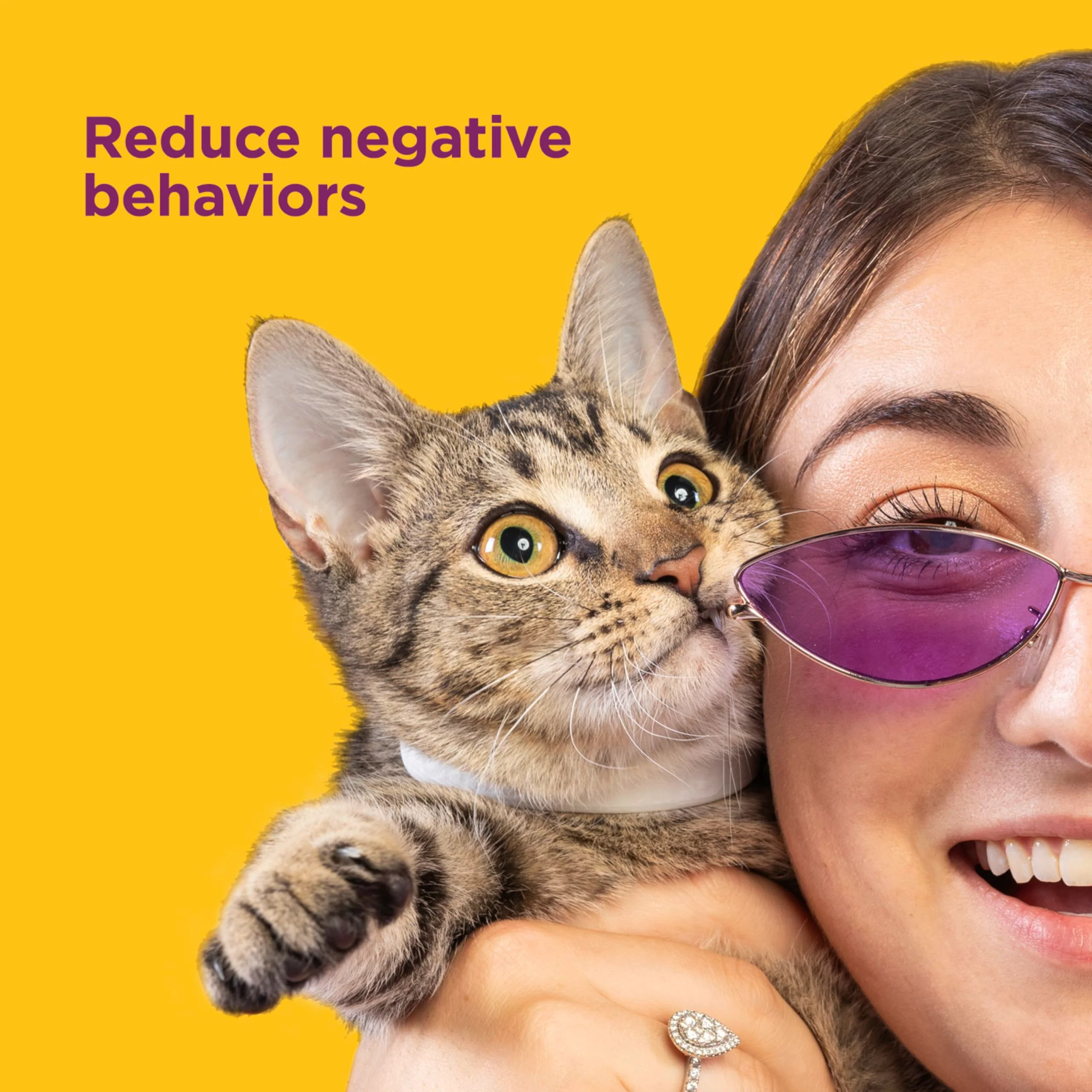 Comfort Zone Cat Calming Collar: 1 30-Day Calming Collar; Cat Pheromones Help Anxiety, Reduce Stress, Urine Marking, Scratching; Indoor or Outdoor Cats; Long-Lasting - Image 5