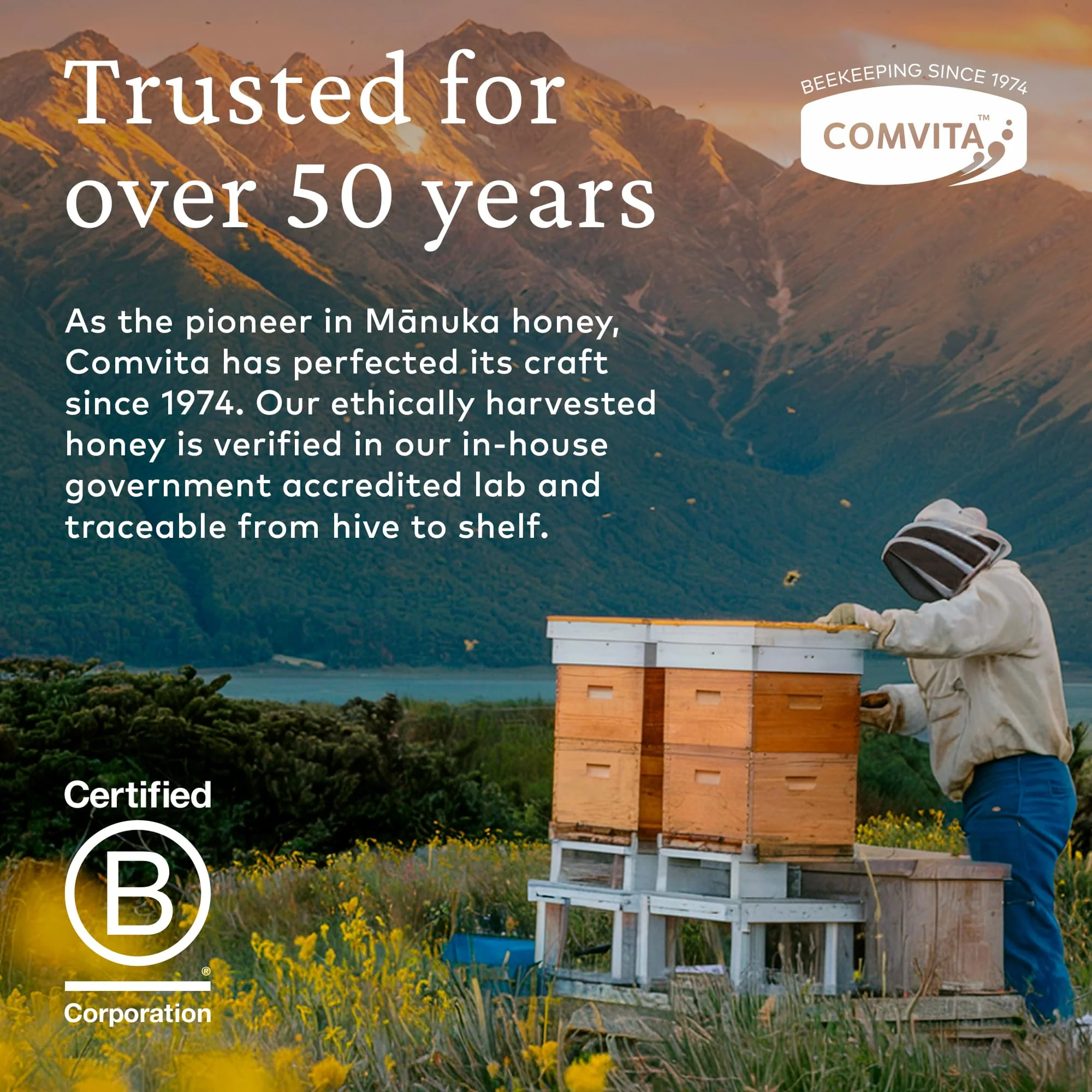 Comvita Manuka Honey UMF 5+ (MGO 83+) - Raw Manuka Honey New Zealand, Pure & Unpasteurized, Superfood for Immune Health, Use in Tea, Wild, Monofloral, Non-GMO - 250g (8.8 oz) - Image 4