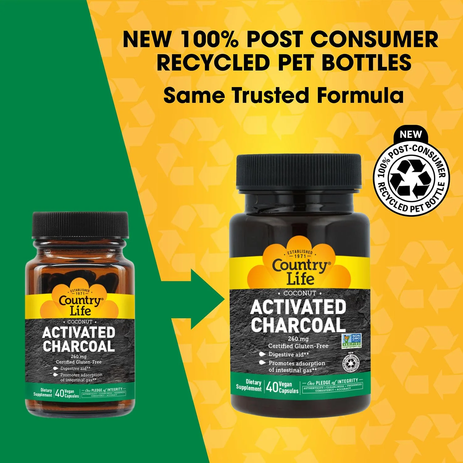 Country Life Coconut Activated Charcoal Capsules, 260mg – Natural Charcoal Supplement for Gas and Bloating Relief - Gluten-Free, 40 Vegan Capsules - Image 9