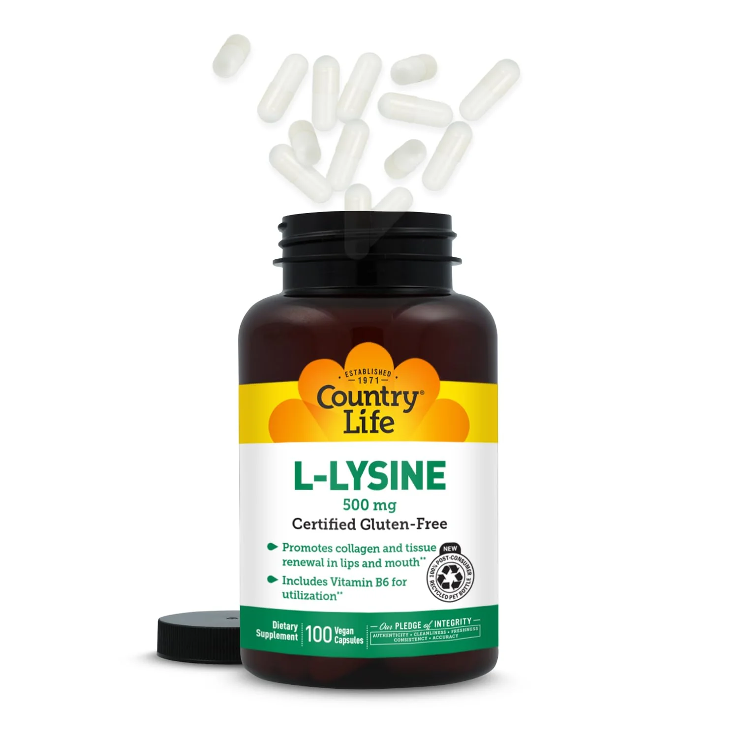Country Life L-Lysine 500mg with B-6, Supports Immune Health, Promotes Collagen Renewal in Lips and Mouth, 250 Vegan Capsules, Certified Gluten Free, Certified Vegan - Image 2