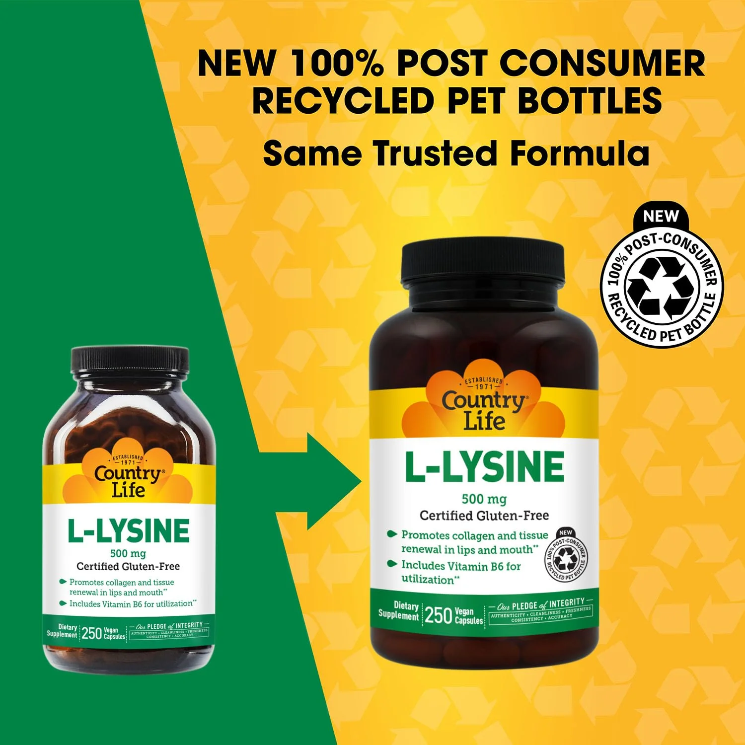 Country Life L-Lysine 500mg with B-6, Supports Immune Health, Promotes Collagen Renewal in Lips and Mouth, 250 Vegan Capsules, Certified Gluten Free, Certified Vegan - Image 8