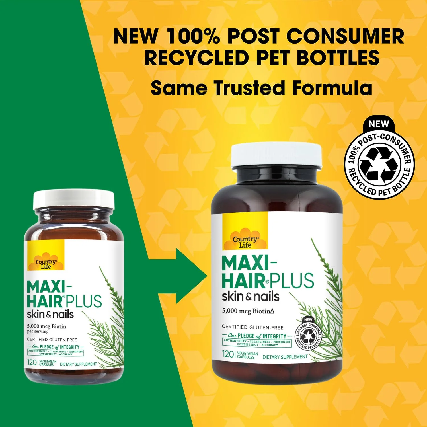 Country Life, Maxi-Hair Plus Biotin, Supports Healthy Hair, Skin and Nails, Daily Supplement, 120 ct - Image 9