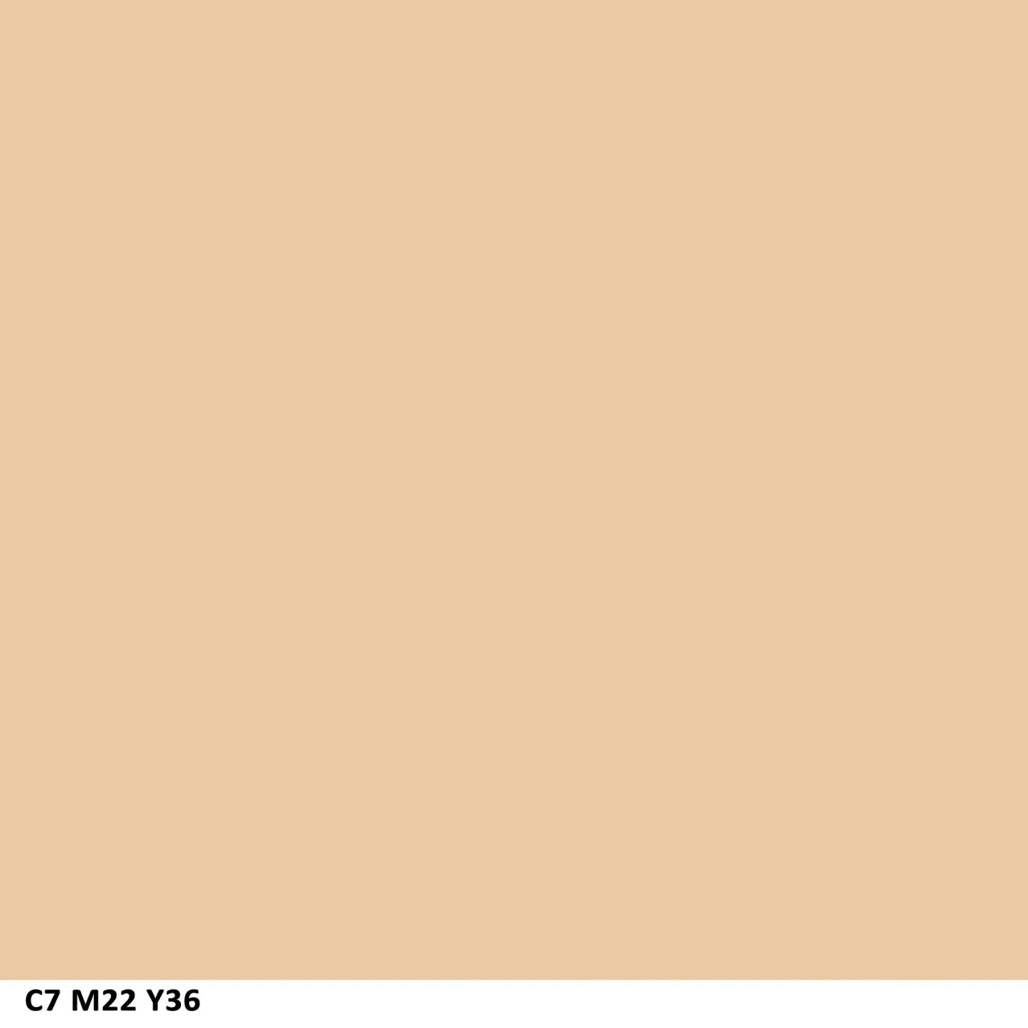 COVERGIRL Clean Matte Pressed Powder Classic Ivory Warm 510 , .35 Ounce (packaging may vary) - Image 2