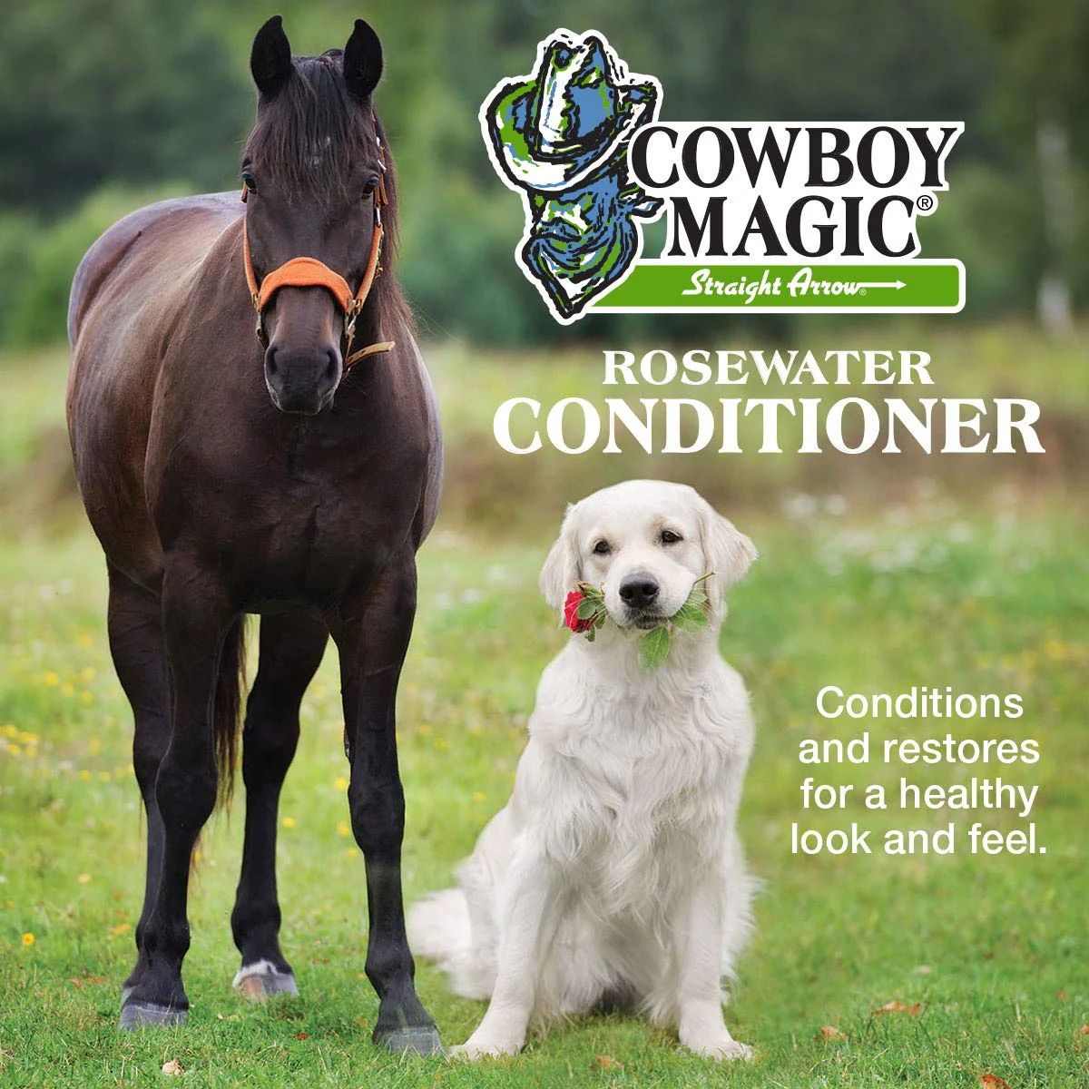 Cowboy Magic Rosewater Shampoo + Conditioner 32 Ounce Each - Image 4