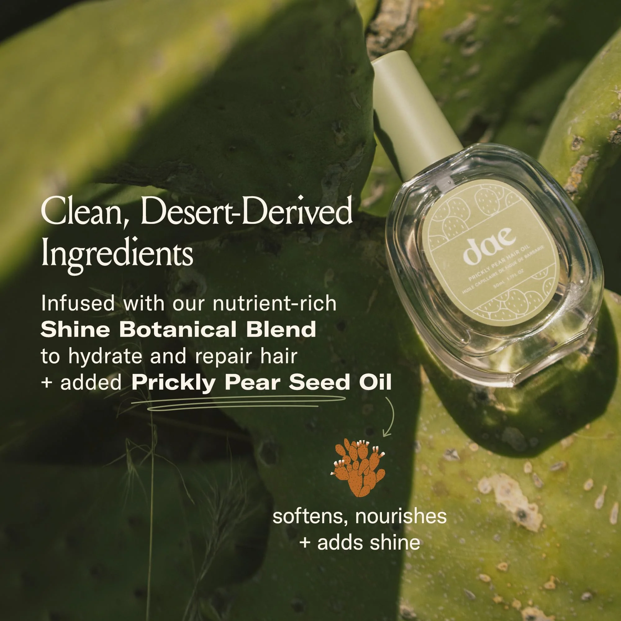 DAE Prickly Pear Hair Oil - Smooths Frizz, Hydrates, Prevents Breakage, Detangles, & Adds Shine (0.6 oz) - Image 7