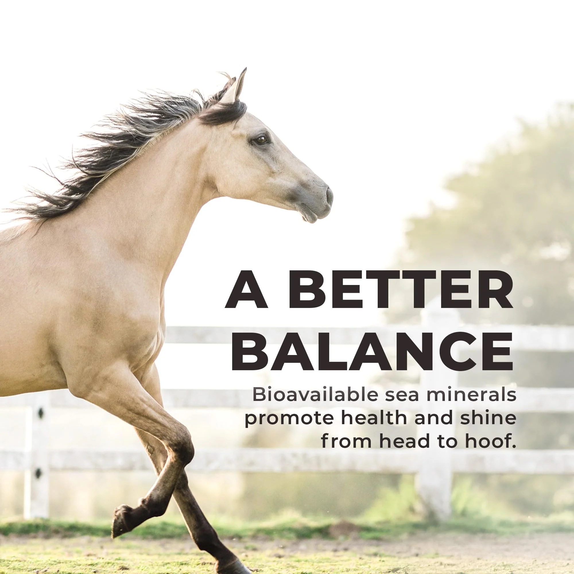 Daily Red Complete Wellness, Fortified Mineral Mix Supplement for Horses (5 LB) - Image 5