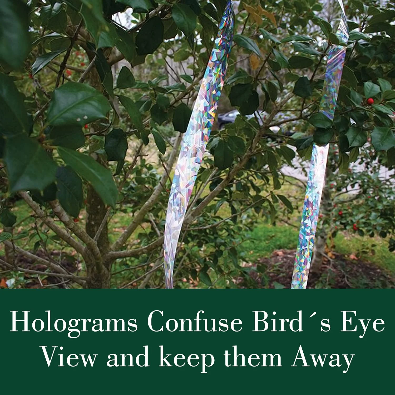 Dalen Holographic Scare Reflective Tape – Bird Deterrent Tape with Metallic Noise Feature, Broad Application and Easy to Use Bird Scare Ribbon (3/4" x 100') - 1 Roll - Image 3