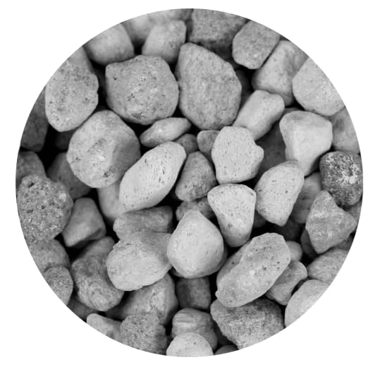 de*nitrate, 100 mL bagged - Image 6