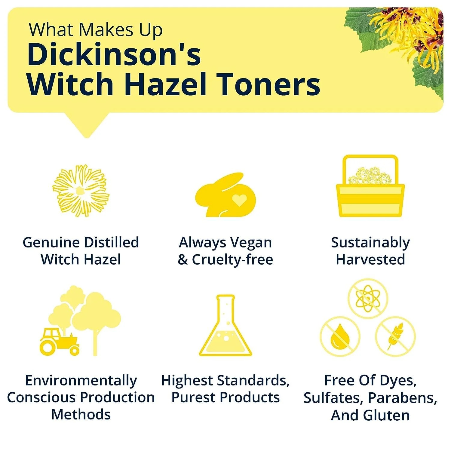 Dickinson's Enhanced Witch Hazel Hydrating Toner with Rosewater, Alcohol Free, 98% Natural Formula, 16 Fl Oz (Pack of 1) - Image 6