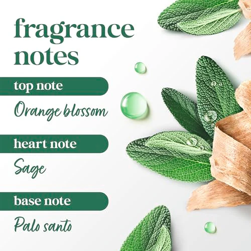 Dove Limited Edition FIFA Regimen 3 Pack Palo Santo & Sage Oil For Women for Hydrated & Soft Skin - Image 6