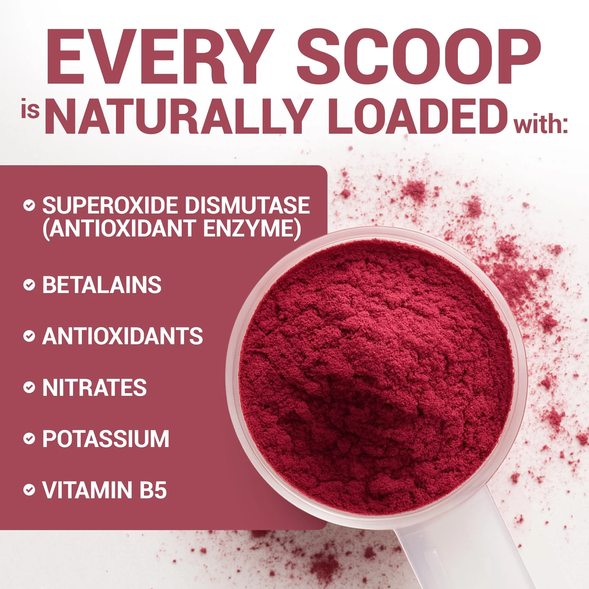 Dr. Berg Raw Organic Beet Powder from Real Earth-Grown Beets – USDA Certified Organic Beet Root Powder to Support Nitric Oxide Levels, Energy, Blood Flow, & Heart Health* – 30 Servings - Image 7