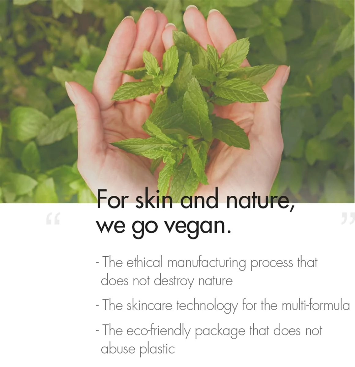 Dr.Ceuracle, Vegan Kombucha Tea Gel Cream+Essence A hydrating vegan gel cream formulated with Kombucha Extract, a longfermented black tea, leaving skin supple (Vegan Cream), Dr.Ceuracle1511422 - Image 7