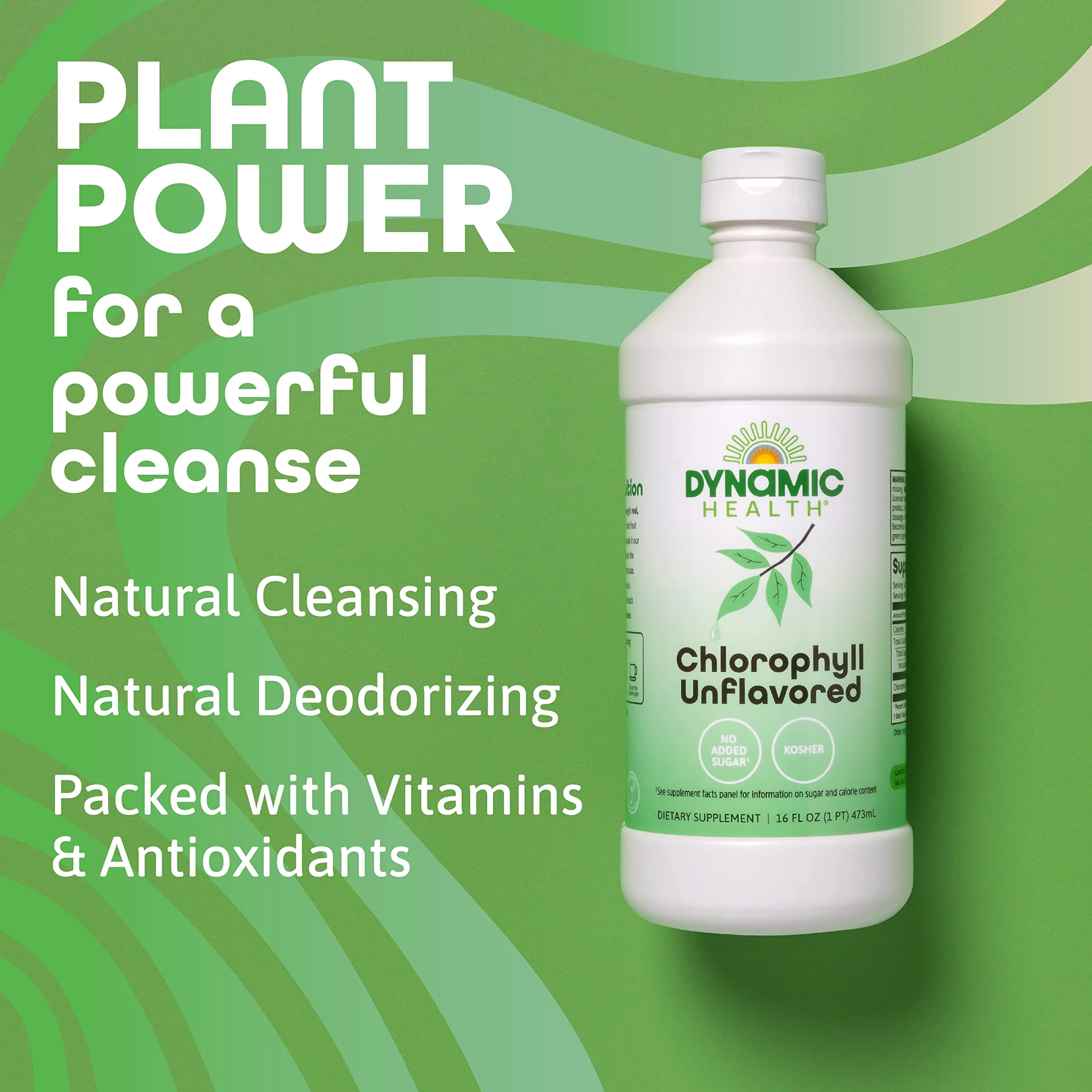 Dynamic Health Liquid Chlorophyll Unflavored 100 mg, Sodium Copper Chlorophyllins with Alfalfa and Mulberry Leaves, Plant Cleanse and Deodorizing, No Added Sugar, 16 Fl Oz - Image 4