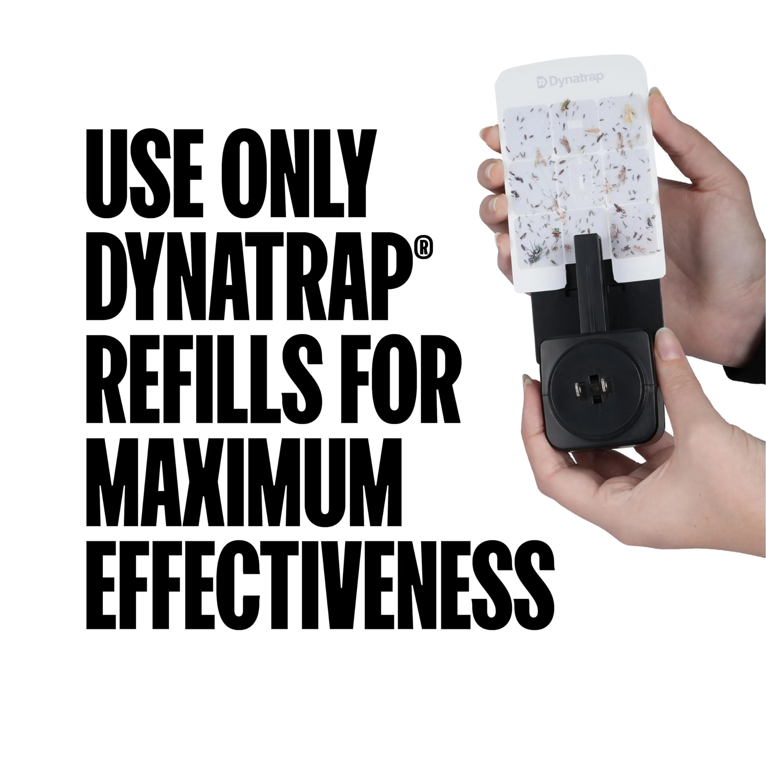 Dynatrap Glue Card Refills for Indoor Dynatrap Fly Trap Models DT3007 and DT3007W - 6 Glue Cards - 23007 - Discreet Indoor Insect Control - Includes 6 Official Refills - Image 5