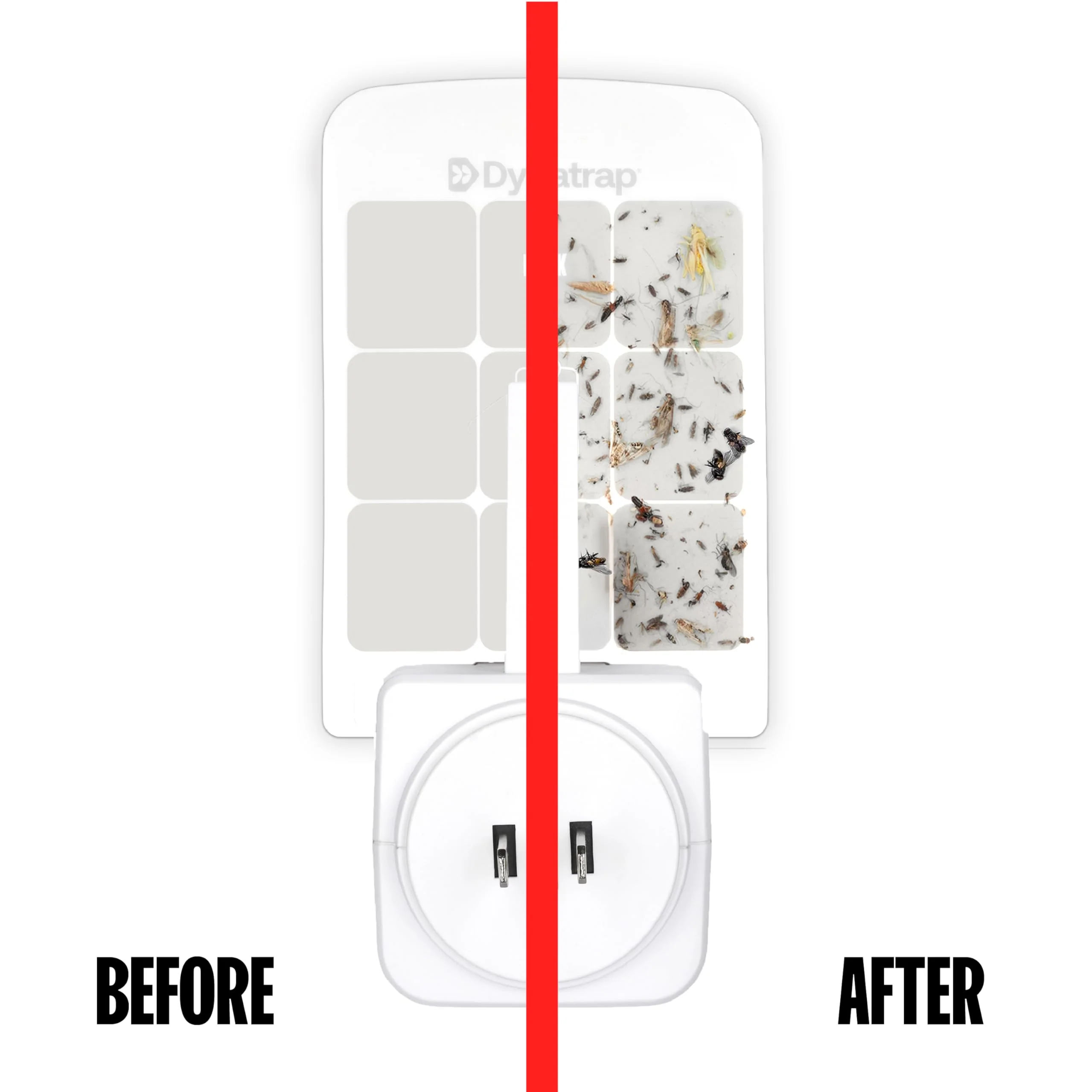 Dynatrap Glue Card Refills for Indoor Dynatrap Fly Trap Models DT3007 and DT3007W - 6 Glue Cards - 23007 - Discreet Indoor Insect Control - Includes 6 Official Refills - Image 7