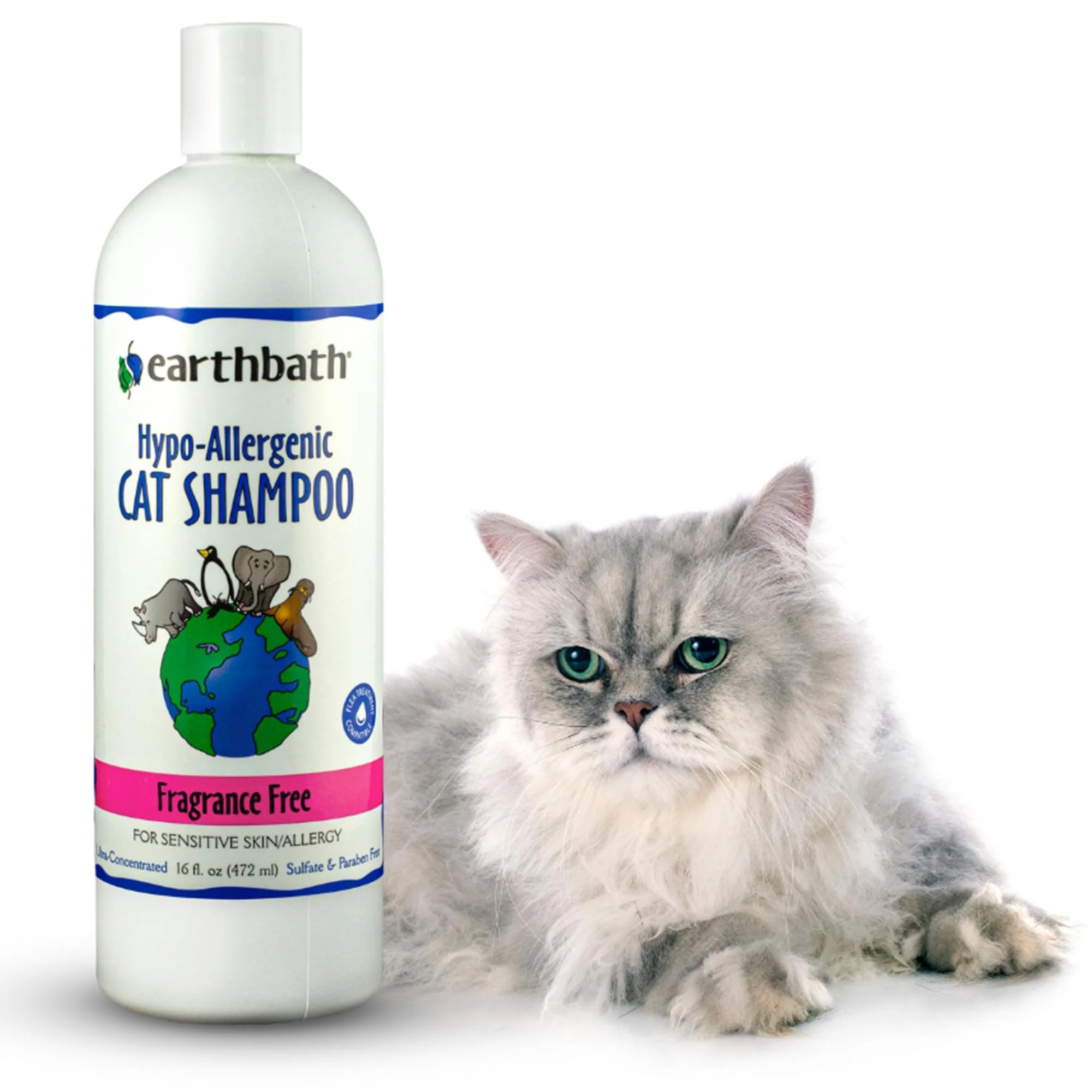 earthbath, Hypoallergenic Cat Shampoo - Fragrance Free Cat Shampoo for Allergies and Itching, Made in USA, Cruelty Free Cat Wash, Gentle & Soothing Kitty Shampoo - 16 Oz (1 Pack)