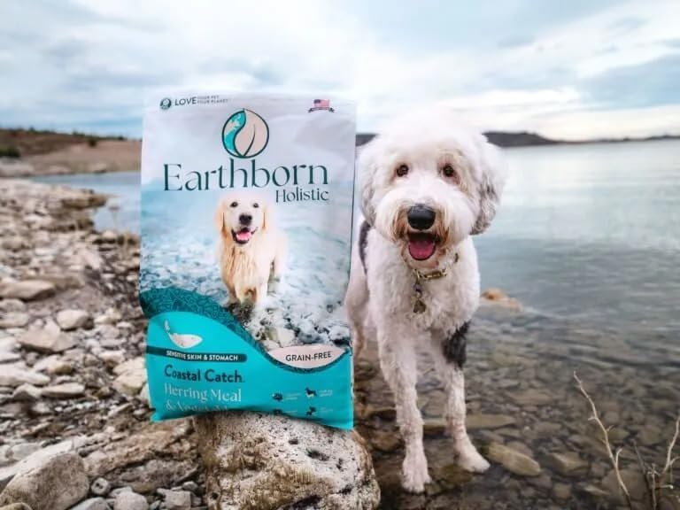 Earthborn Holistic Coastal Catch Herring Meal & Vegetables Grain-Free Dry Dog Food 4 lb - Image 2
