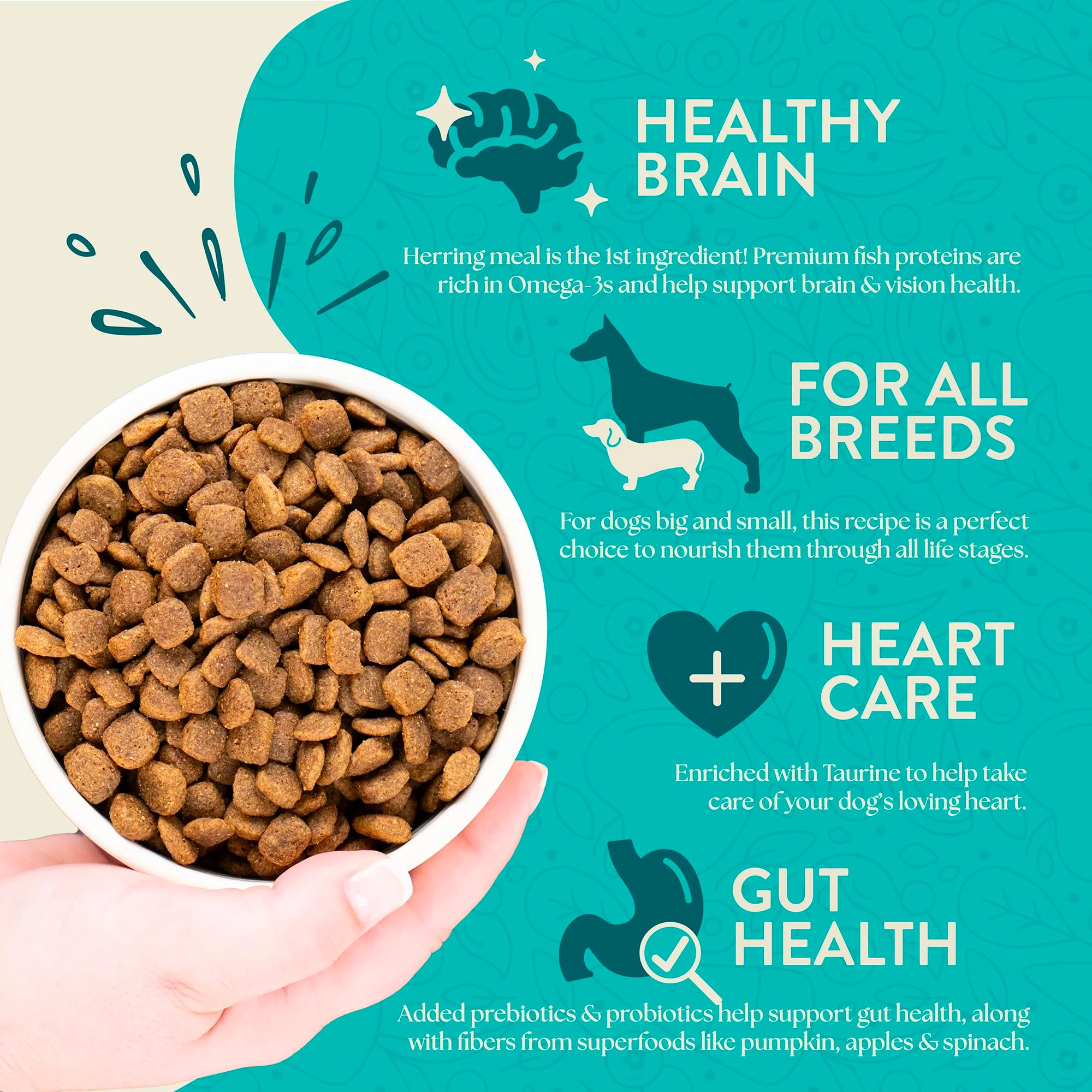 Earthborn Holistic Coastal Catch Herring Meal & Vegetables Grain-Free Dry Dog Food 4 lb - Image 6