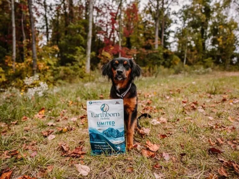 Earthborn Holistic Venture Alaska Pollock Meal & Pumpkin 4 lb. Limited Ingredient Grain-Free Dry Dog Food - Image 2