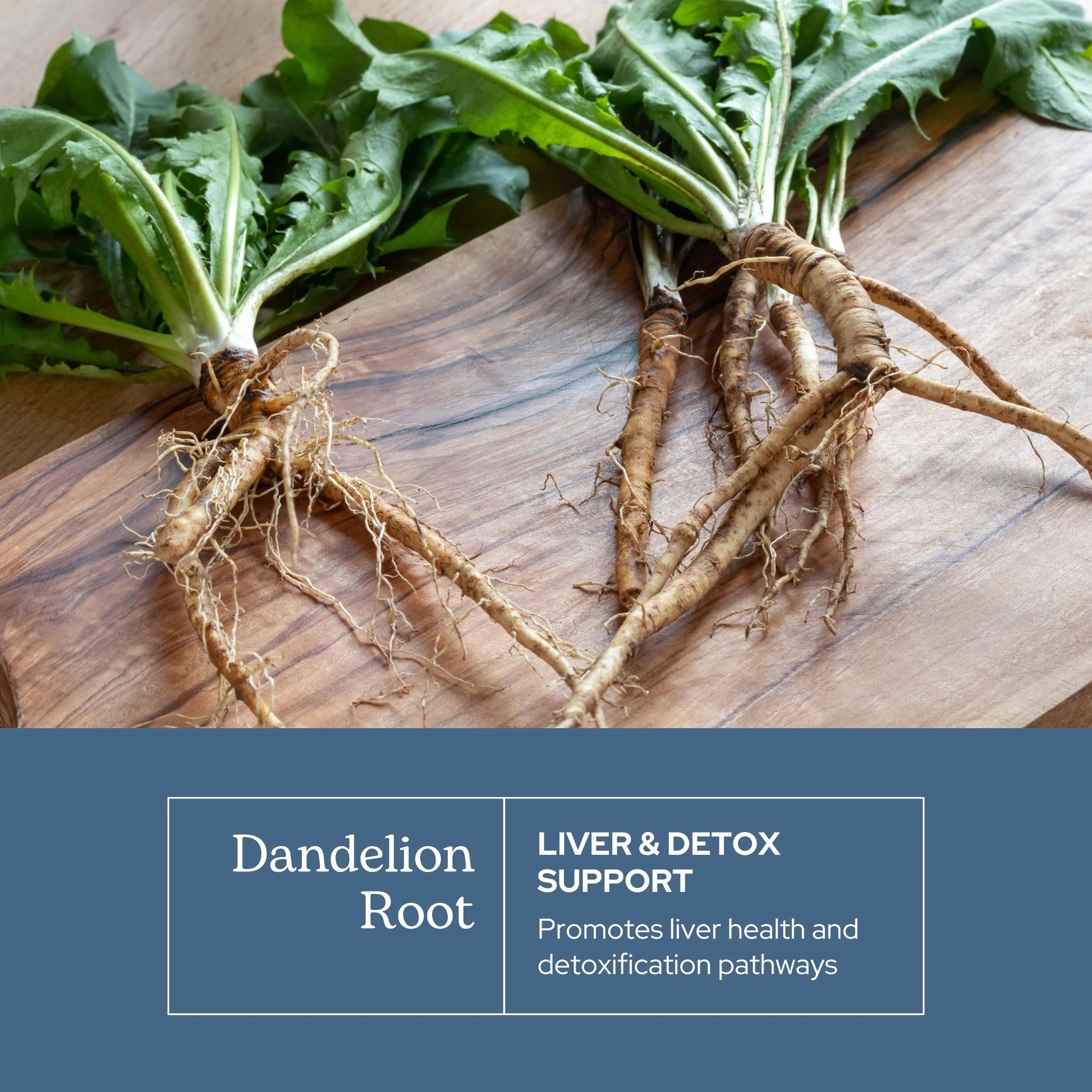 Eclectic Herb - Dandelion Root | Supports The Liver, Cleansing, Detox & Digestive Function | Vegan, Non-GMO, Gluten Free, Freeze-Dried (90 CT | 200 mg) - Image 7
