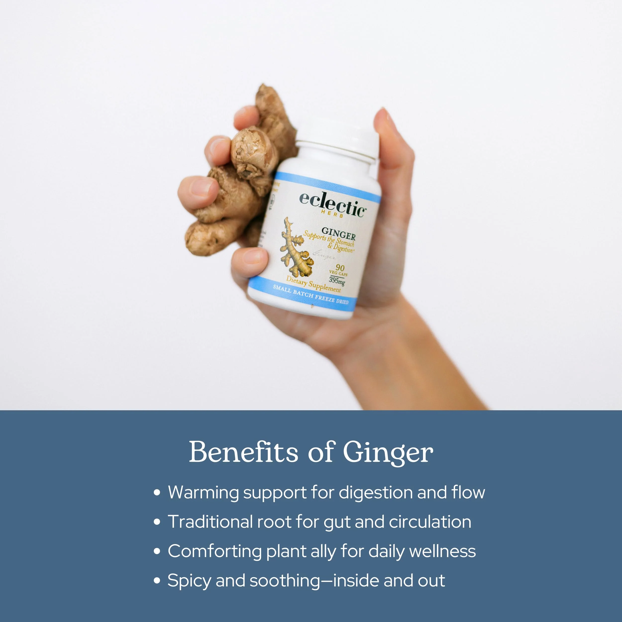 Eclectic Herb - Ginger Capsules | Antioxidants for Heart Support & Digestive Health | Herbal Supplement | US-Grown, Organic, Vegan, Non-GMO, Gluten Free (90 CT | 395 mg) - Image 6
