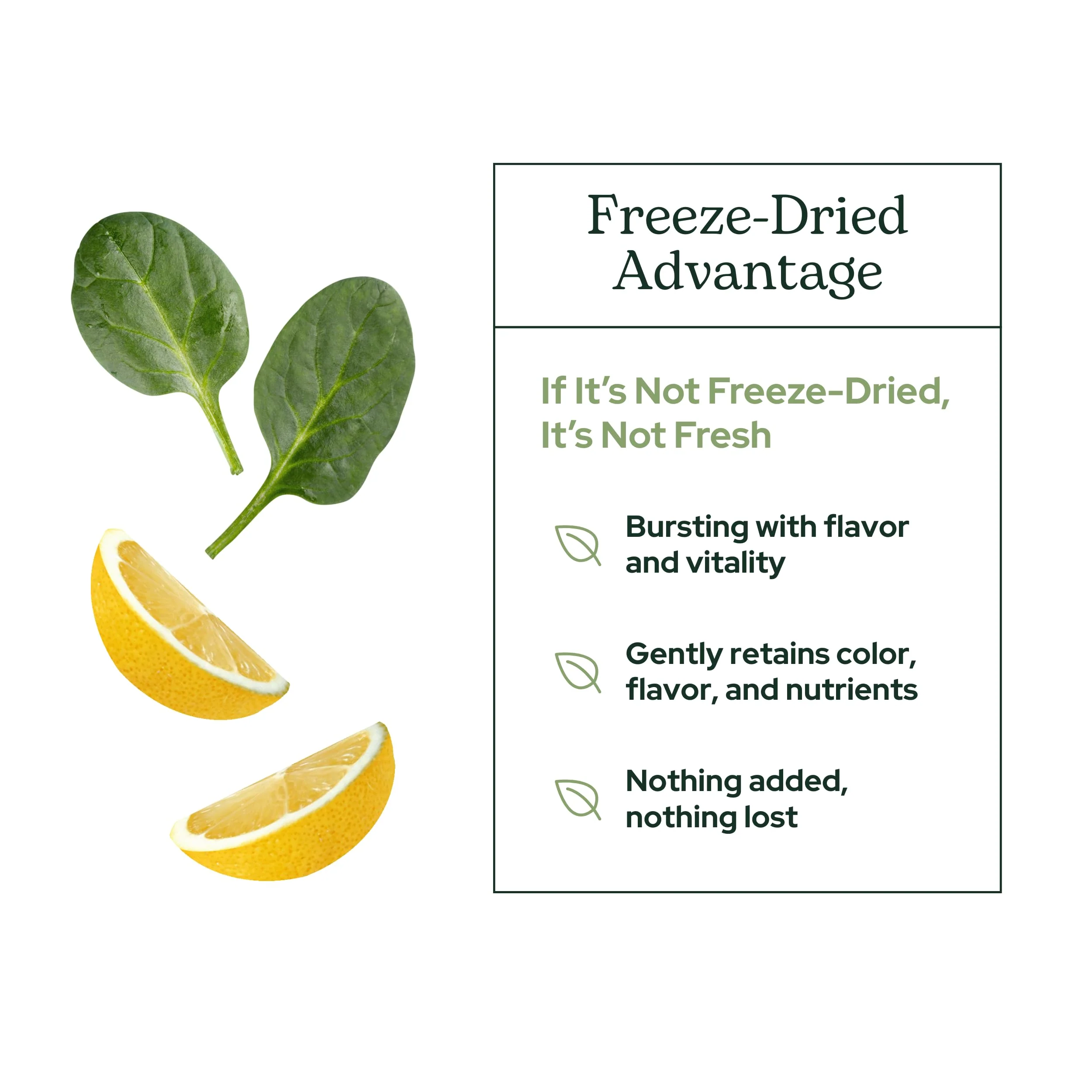 Eclectic Herb - Lemon Greens Powder Supplement | Immune + Detox Support | Nutritional Support, Vitamins + Minerals | Superfood Powder + Daily Greens Drink Mix | Non-GMO, Vegan (3.2 oz | 90 g) - Image 5