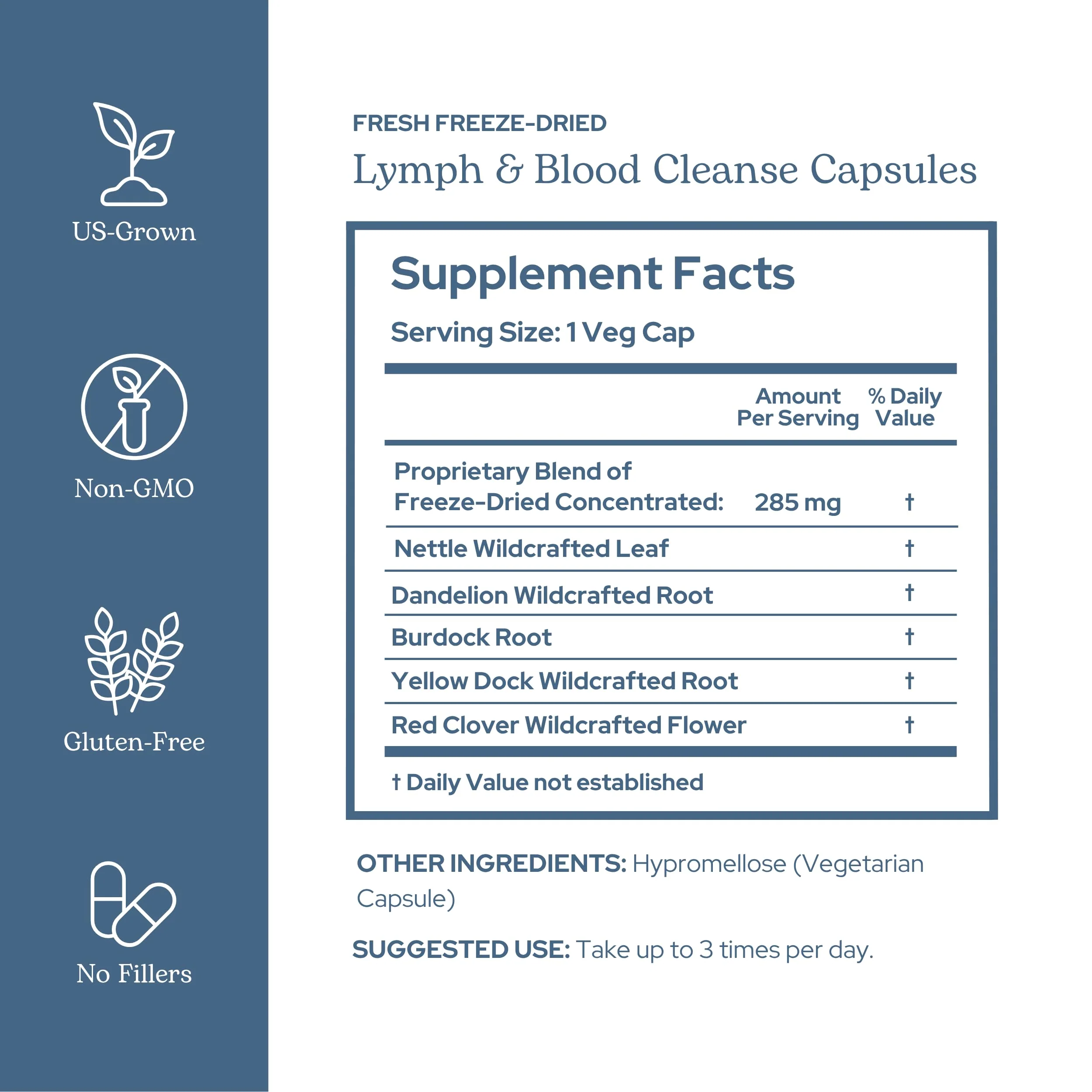 Eclectic Herb - Lymph & Blood Cleanse | Lymphatic & Circulatory Support | Freeze Dried, Concentrated Herbal Supplement | Natural, Wildcrafted, Non-GMO, Gluten Free, Vegan (45 CT | 285 mg) - Image 8