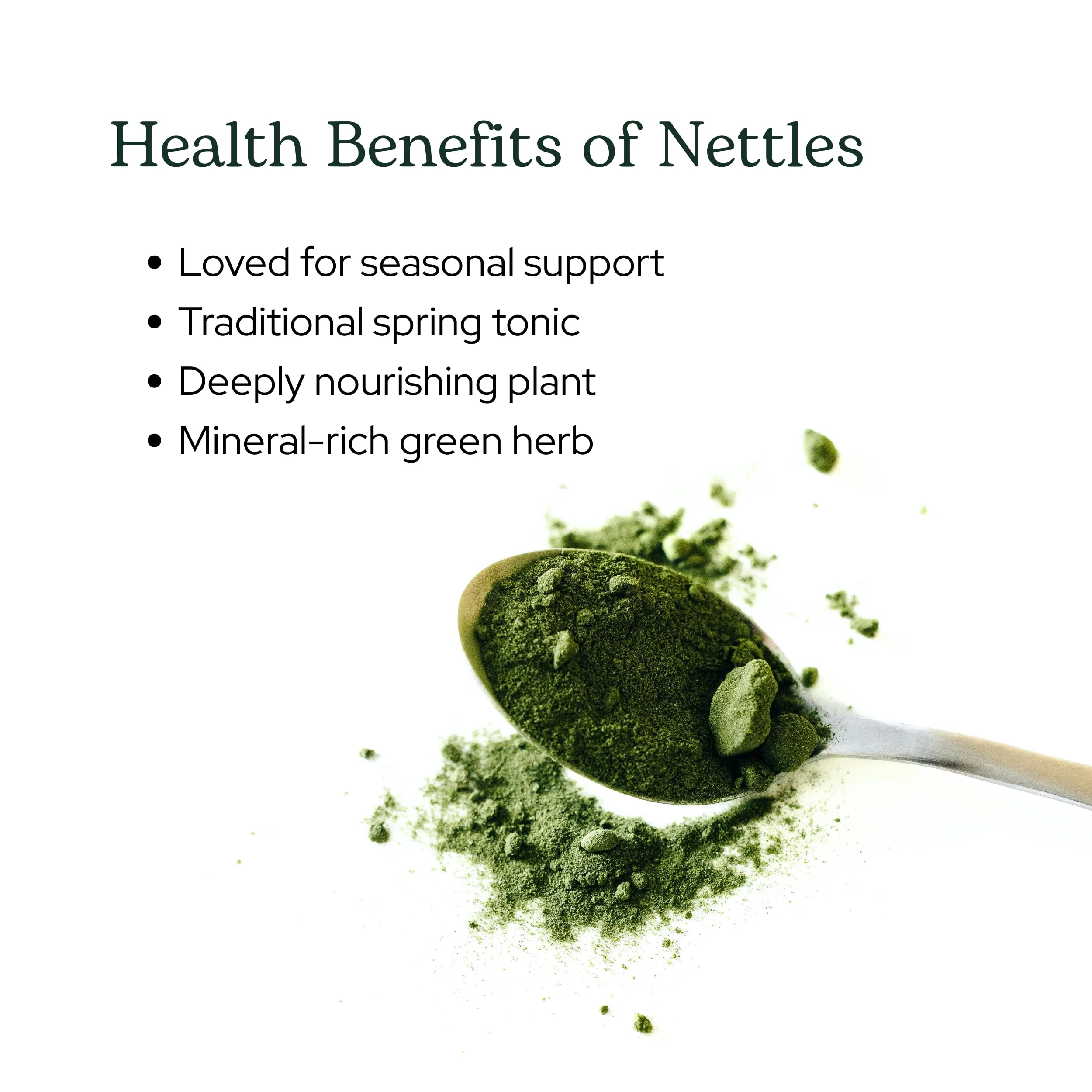 Eclectic Herb - Nettle Leaf Powder Supplement | Supports Sinuses + Immune Response | Urtica Dioica Natural Herbal Supplement | Vegan, Whole Herb, Raw, Non-GMO (2.1 oz | 60 g) - Image 7