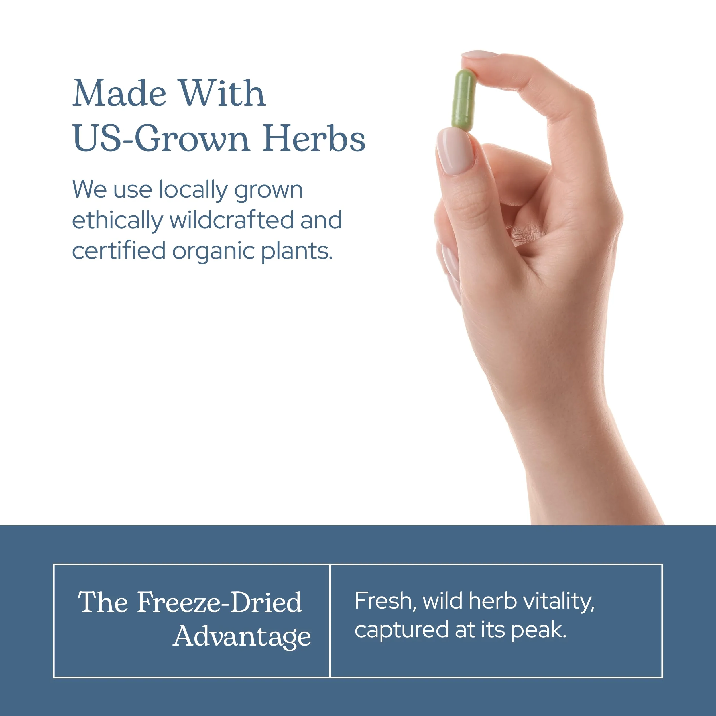 Eclectic Herb - Organic Broccoli Sprouts Capsules | Vitamins + Minerals | Immune, Antioxidants & Detox Support | Superfood | Non-GMO, Gluten Free, Vegan (150 CT | 270 mg) - Image 3