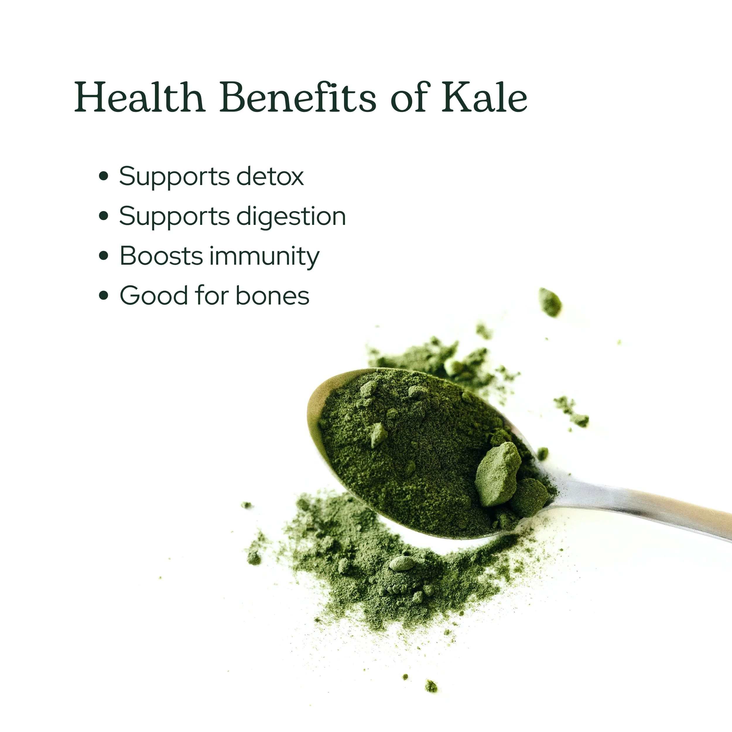 Eclectic Herb - Organic Kale Powder Supplement | Nutritional Support, Daily Fiber, Vitamins + Minerals | Superfood Powder + Daily Greens Drink Mix | USDA Organic, Non-GMO, Vegan (3.2 oz | 90 g) - Image 7