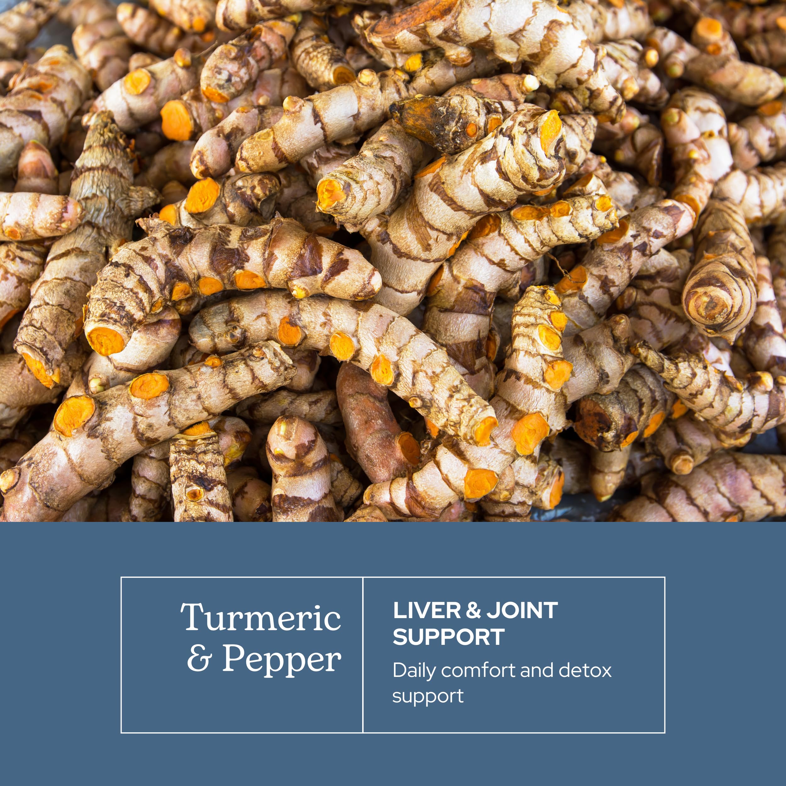 Eclectic Herb - Organic Turmeric & Pepper Capsules | Musculoskeletal System & Joint Health Support | Herbal Supplement | Vegan, Non-GMO, Gluten Free, Freeze-Dried (90 CT | 430 mg) - Image 7