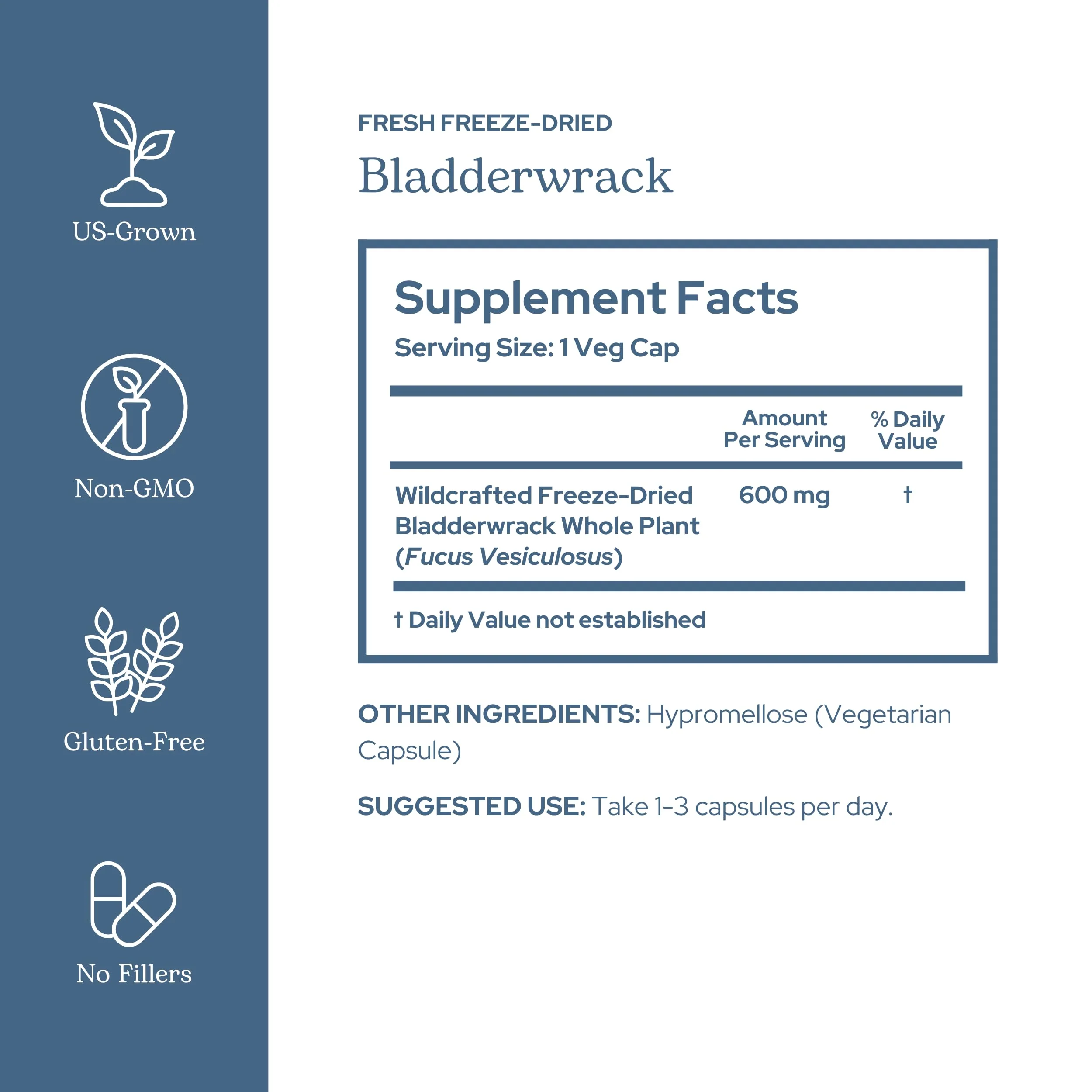 Eclectic Herb - Premium Freeze-Dried Bladderwrack Capsules | Endocrine System Support | Healthy Skin and Hair | Seaweed Supplement | Wildcrafted, Hand-Harvested, Non-GMO, Vegan (90 CT | 600 mg) - Image 8