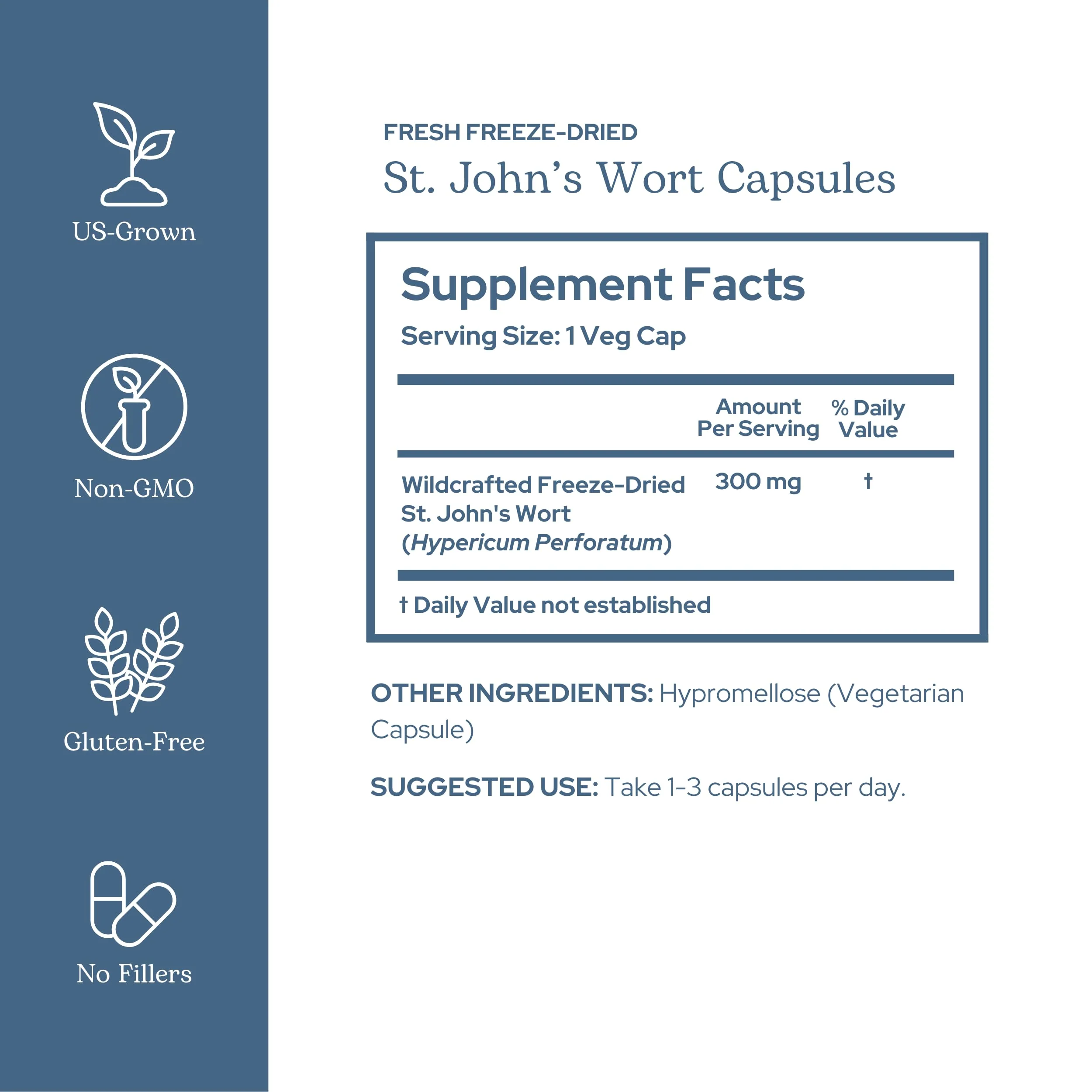 Eclectic Herb - St. John's Wort Capsules | Nervous System & Immune Support | Promotes a Positive Mood | Vegan, Non-GMO, Gluten Free, Freeze-Dried (120 CT | 300 mg) - Image 8