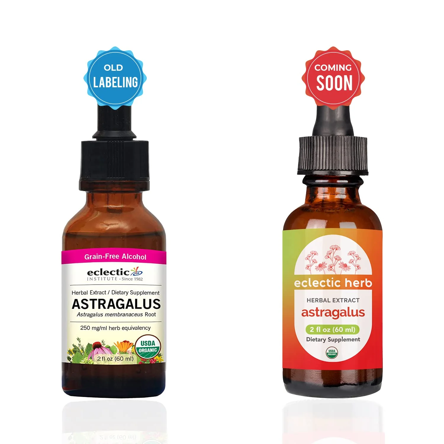 Eclectic Institute Astragalus O 2 Ounce - Image 6