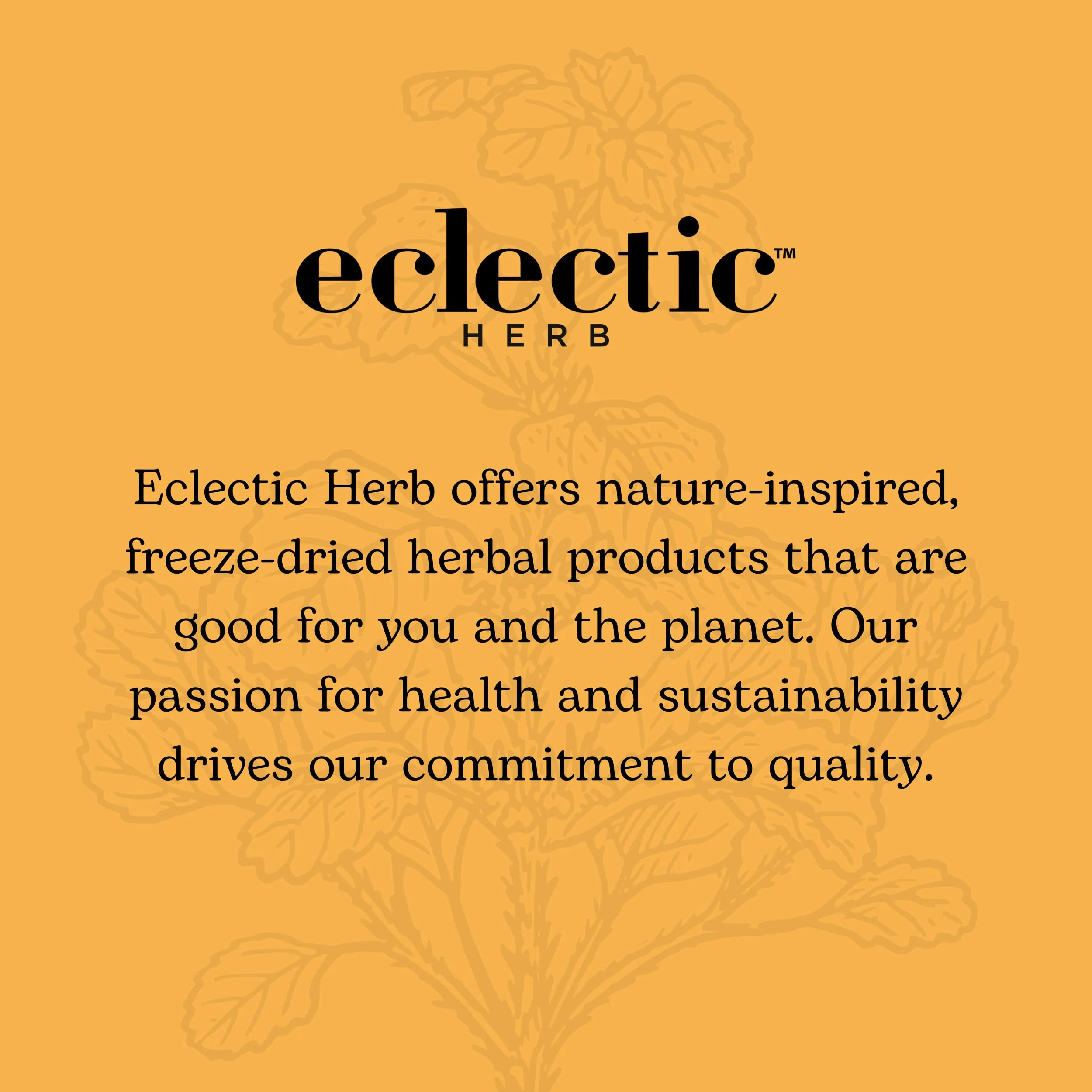 Eclectic Institute Propolis G, Orange, 2 Fluid Ounce - Image 2