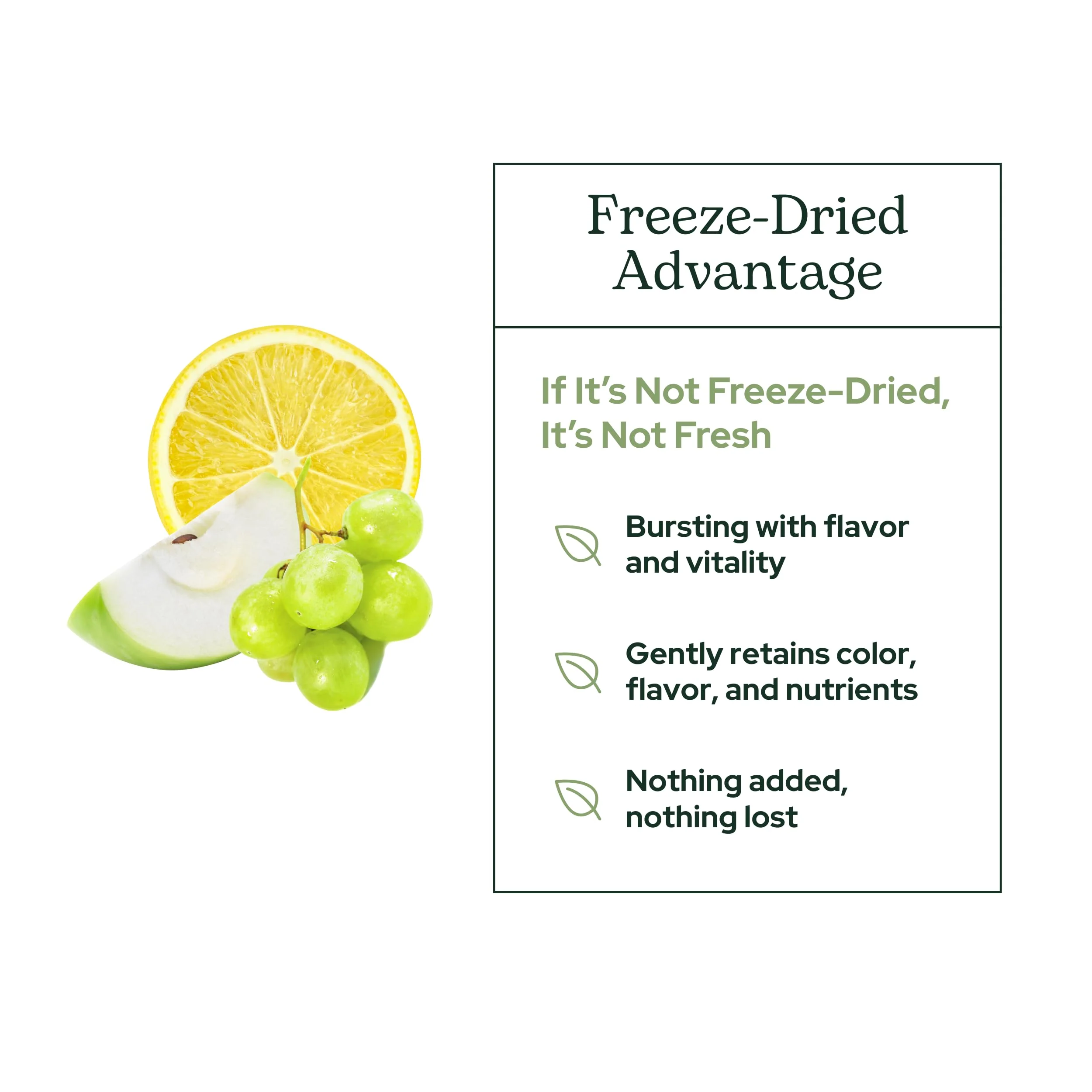 Eclectic Institute Raw Fresh Freeze-Dried Quercetin Flavonoid Complex, Whole Food Powder | 3.2 oz (90 g) - Image 6