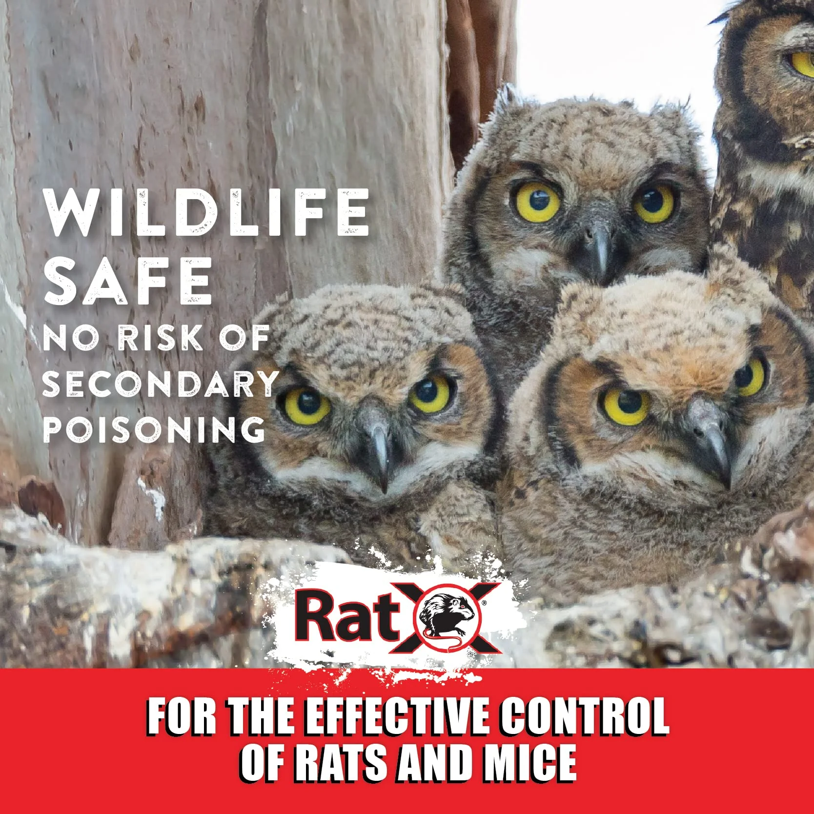 EcoClear Products 620102, RatX All-Natural Non-Toxic Humane Rat and Mouse Killer Pellets, 3 lb. Bag - Image 3