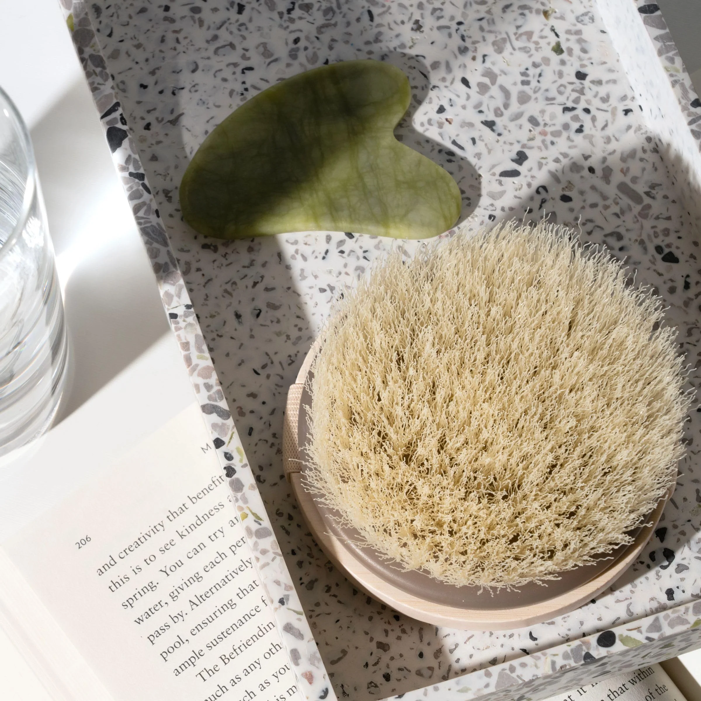 EcoTools Dry Body Brush, for Post Shower & Bath Skincare Routine, Removes Dirt and Promotes Blood Circulation, 1 Count - Image 7