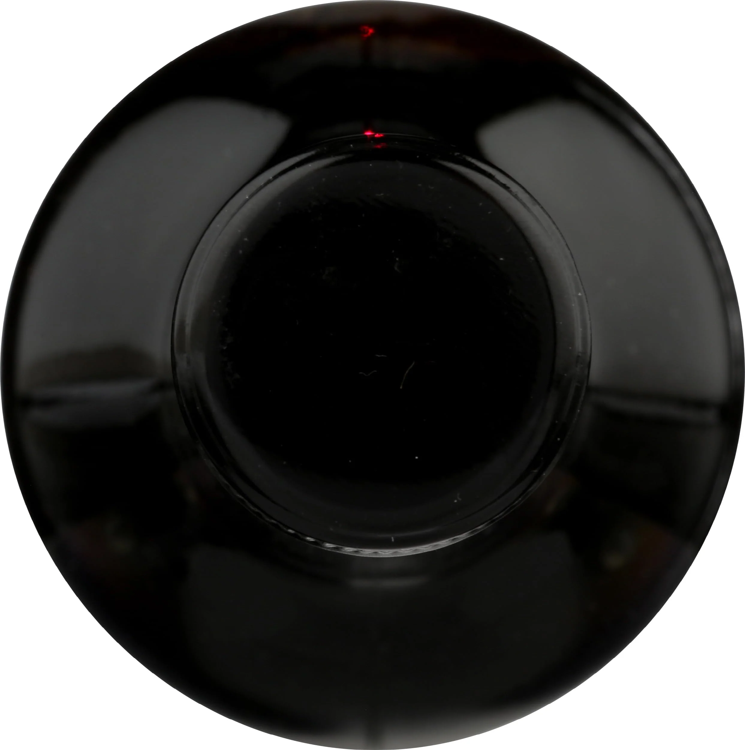 Elderberry Juice Concentrate 12.5 fl. oz. - Image 5