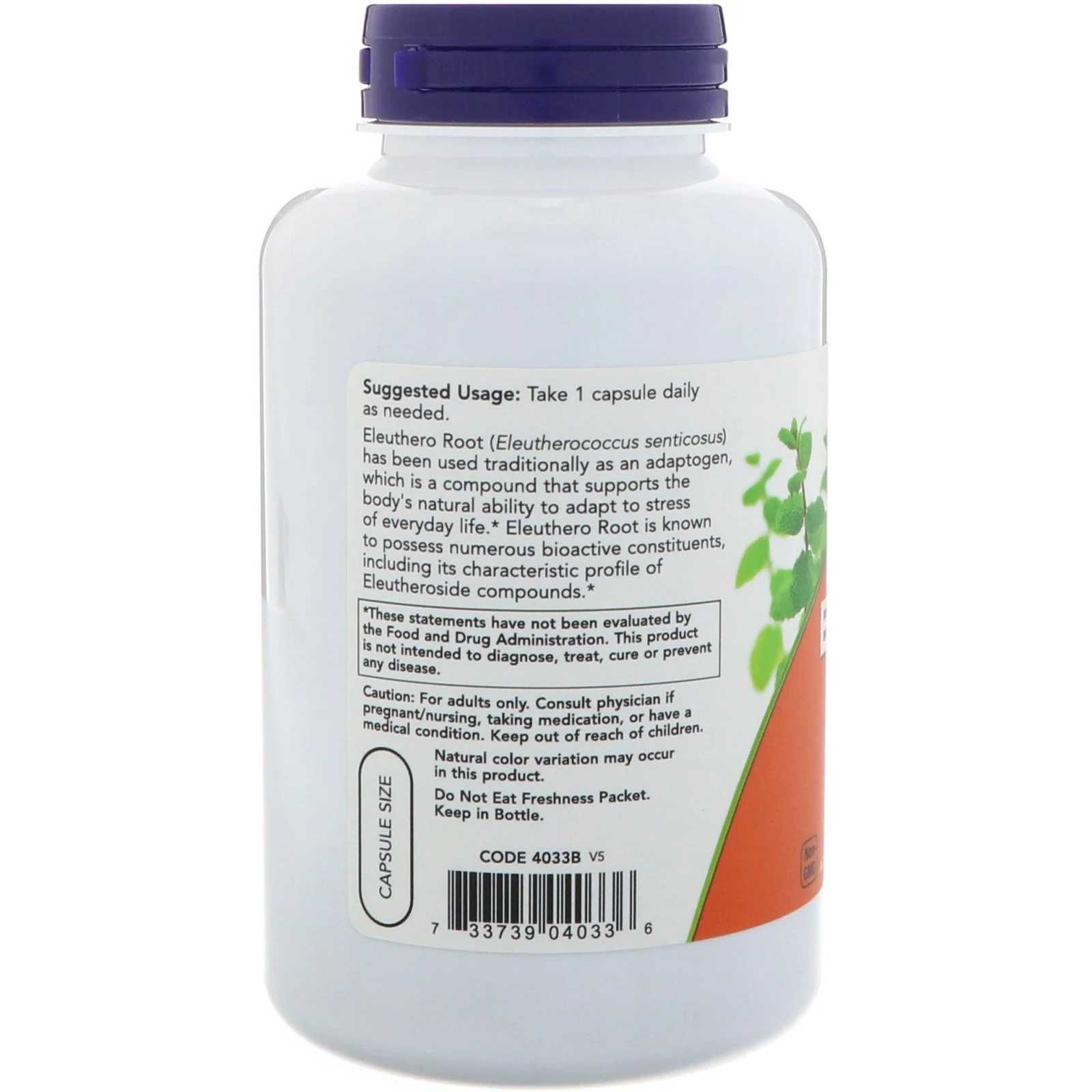 Eleuthero 500mg Now Foods 250 Caps - Image 2