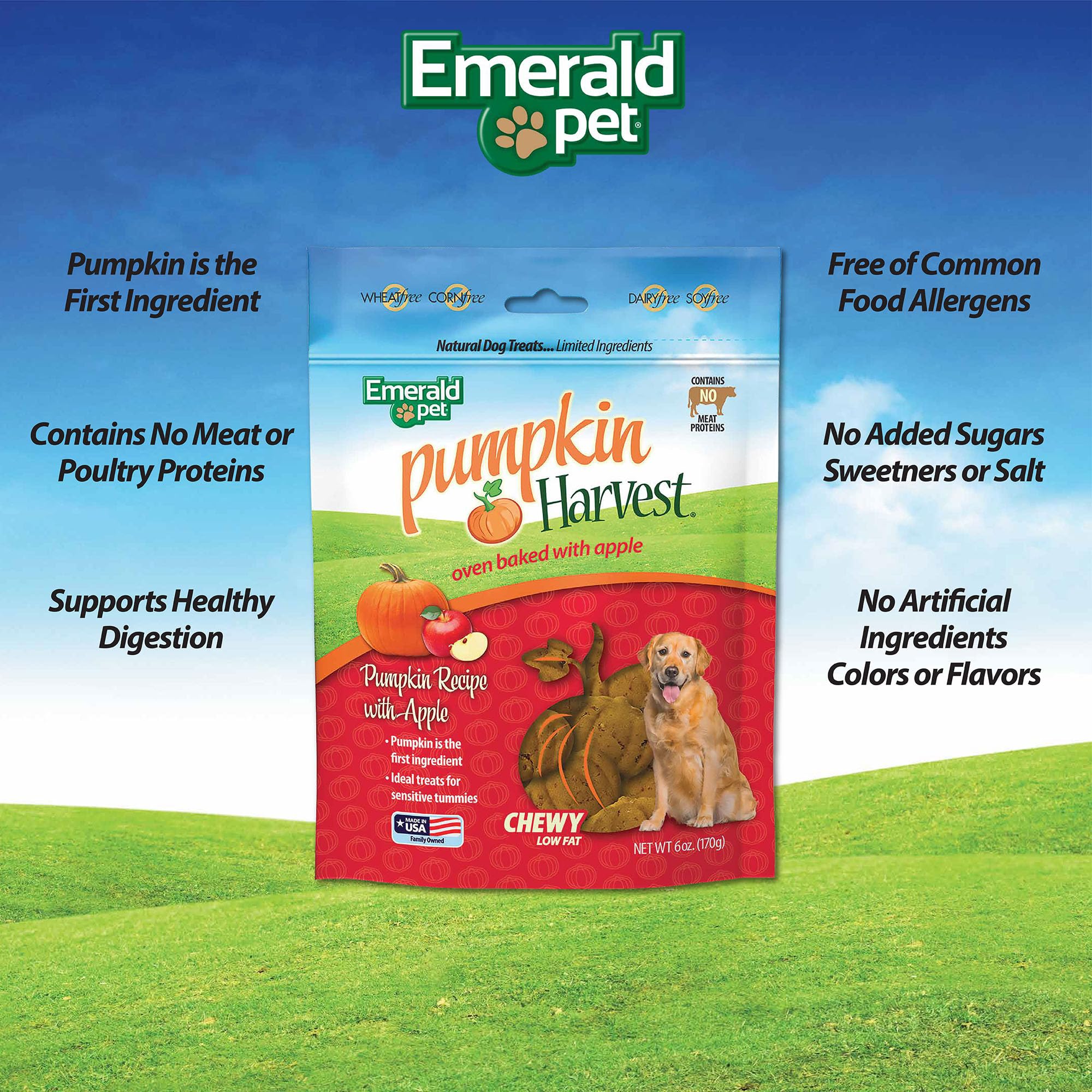 Emerald Pet Pumpkin Harvest Dog Treats — Low-Fat Chewy Natural Treats with Pumpkin for Digestive Health — Meat Free, Poultry Free, Wheat Free — Apple, 6 oz - Image 6