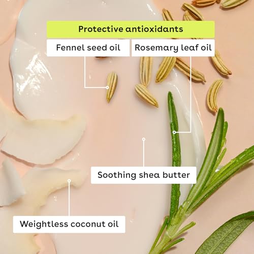 eos 100% Natural & Organic Lip Balm Sticks - Vanilla Bean, All Natural Lip Balm, All-Day Moisture, Dermatologist Recommended, 0.14 oz, 2-Pack - Image 9