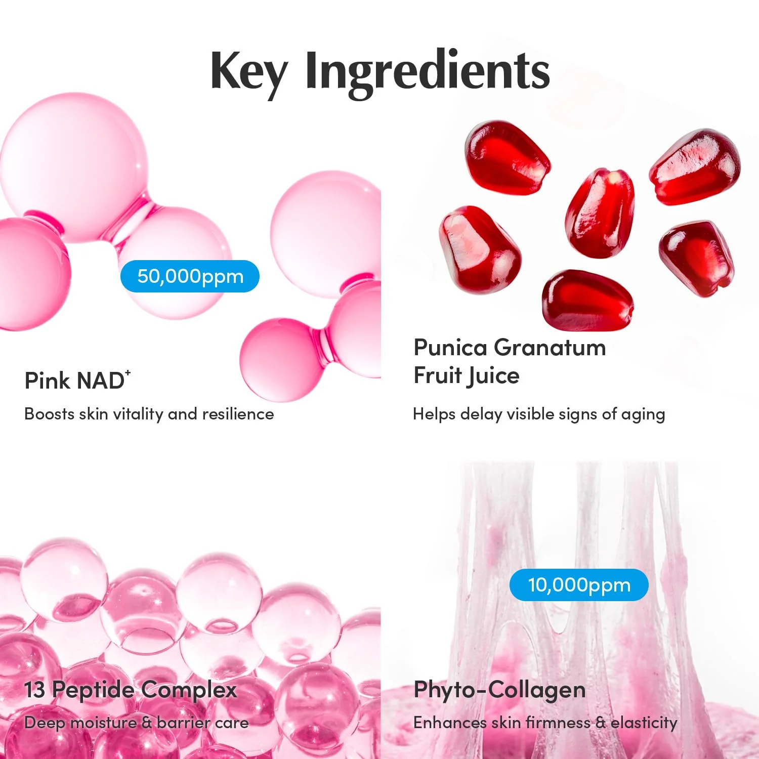 EQQUALBERRY NAD+ Peptide Boosting Cream – NAD+ 5% & 13 Peptides Anti-Aging Korean Skincare Face & Body Cream | Firming & Lifting Pink Neck Cream for Sagging Skin (1.69 fl.oz / 50ml) - Image 5