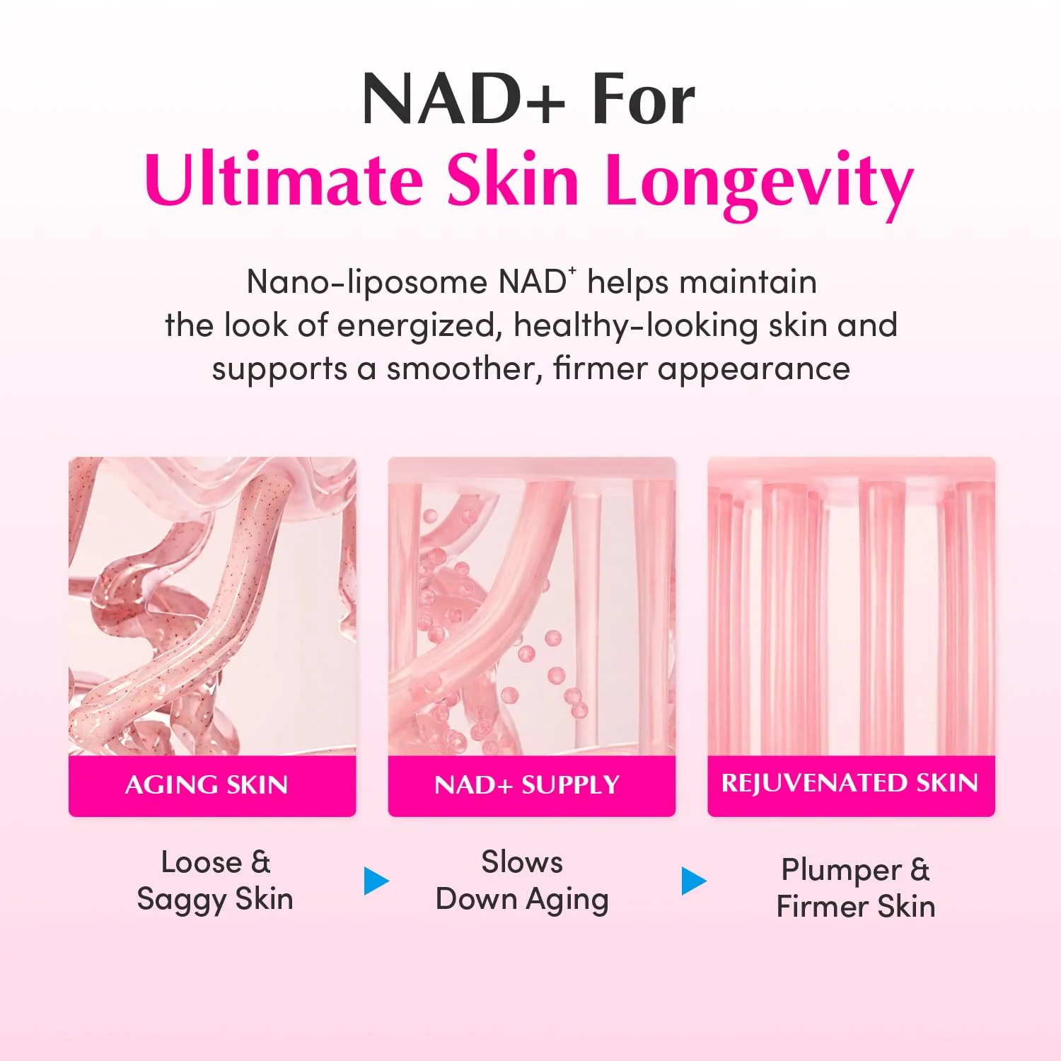 EQQUALBERRY NAD+ Peptide Boosting Cream – NAD+ 5% & 13 Peptides Anti-Aging Korean Skincare Face & Body Cream | Firming & Lifting Pink Neck Cream for Sagging Skin (1.69 fl.oz / 50ml) - Image 6