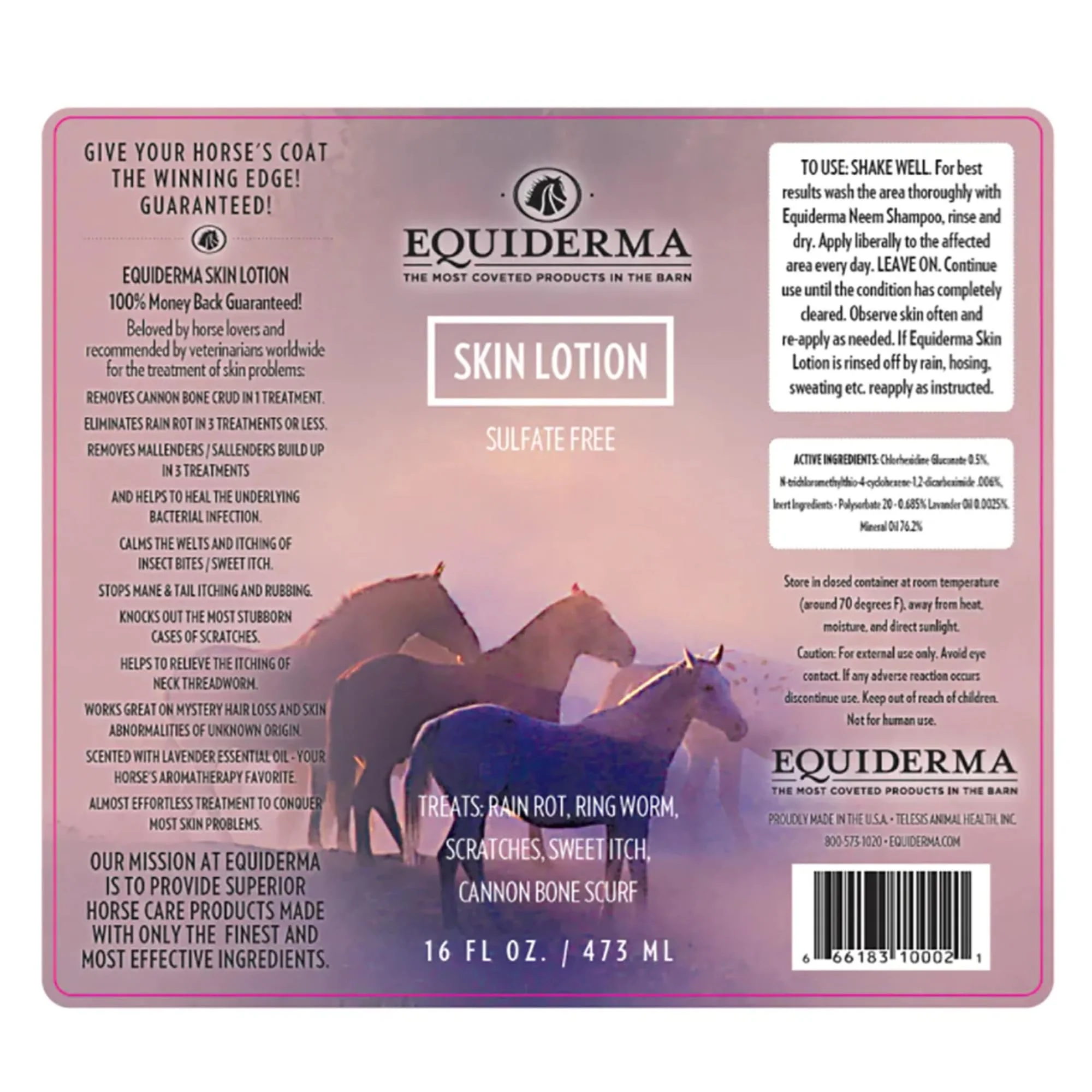 EQUIDERMA Horse Skin Lotion – 16 oz | All-in-One Equine Skin Care for Cannon Bone Scurf, Mane & Tail Itching, Midline Irritation, Dry Patches & Coat Health Support - Image 2