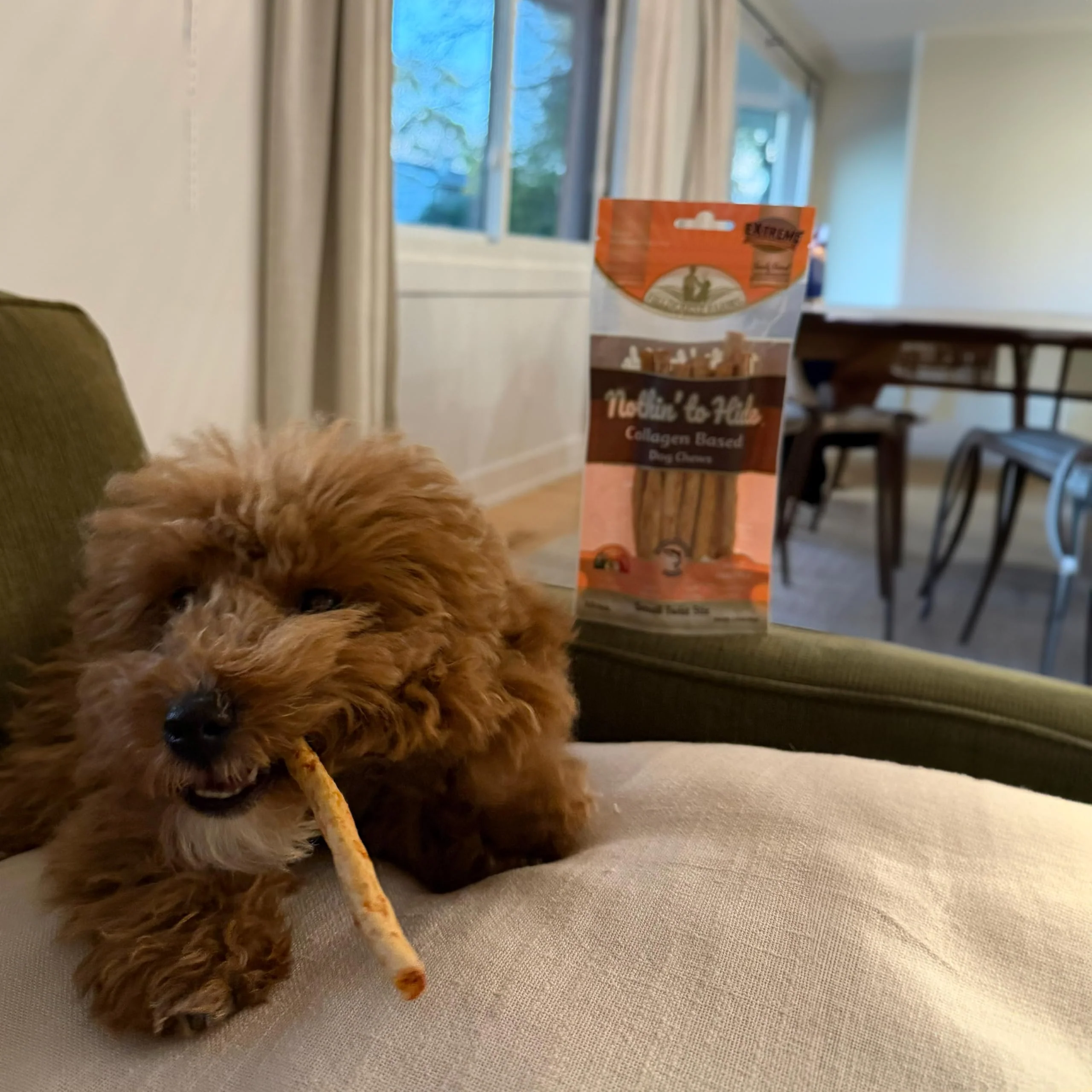 Ethical Pet Nothin` to Hide Salmon Twist Stix - Image 7