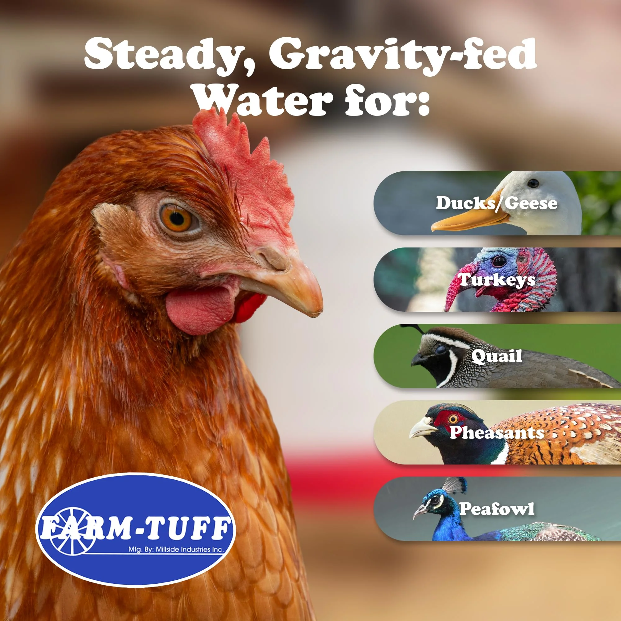 FARM-TUFF Hanging Chicken Waterer, 5 Gallon Capacity - Plastic Poultry Fountain with Top Fill Design - Automatic Water Dispenser for Chickens, Ducks, Turkeys & Game Birds - Image 6