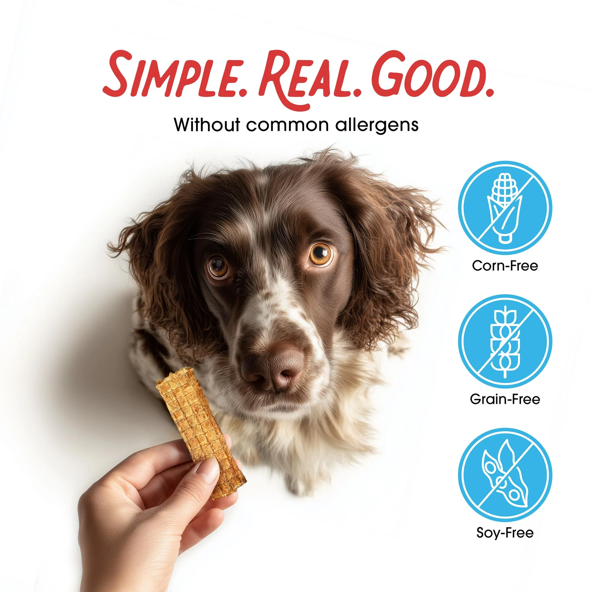 Farmland Traditions Dogs Love Chicken Jerky Dog Treats, Premium Two-Ingredient Dog Jerky with USA-Raised, Human-Grade Chicken & No Antibiotics Ever, 1 Pound (Pack of 1) Bag - Image 6