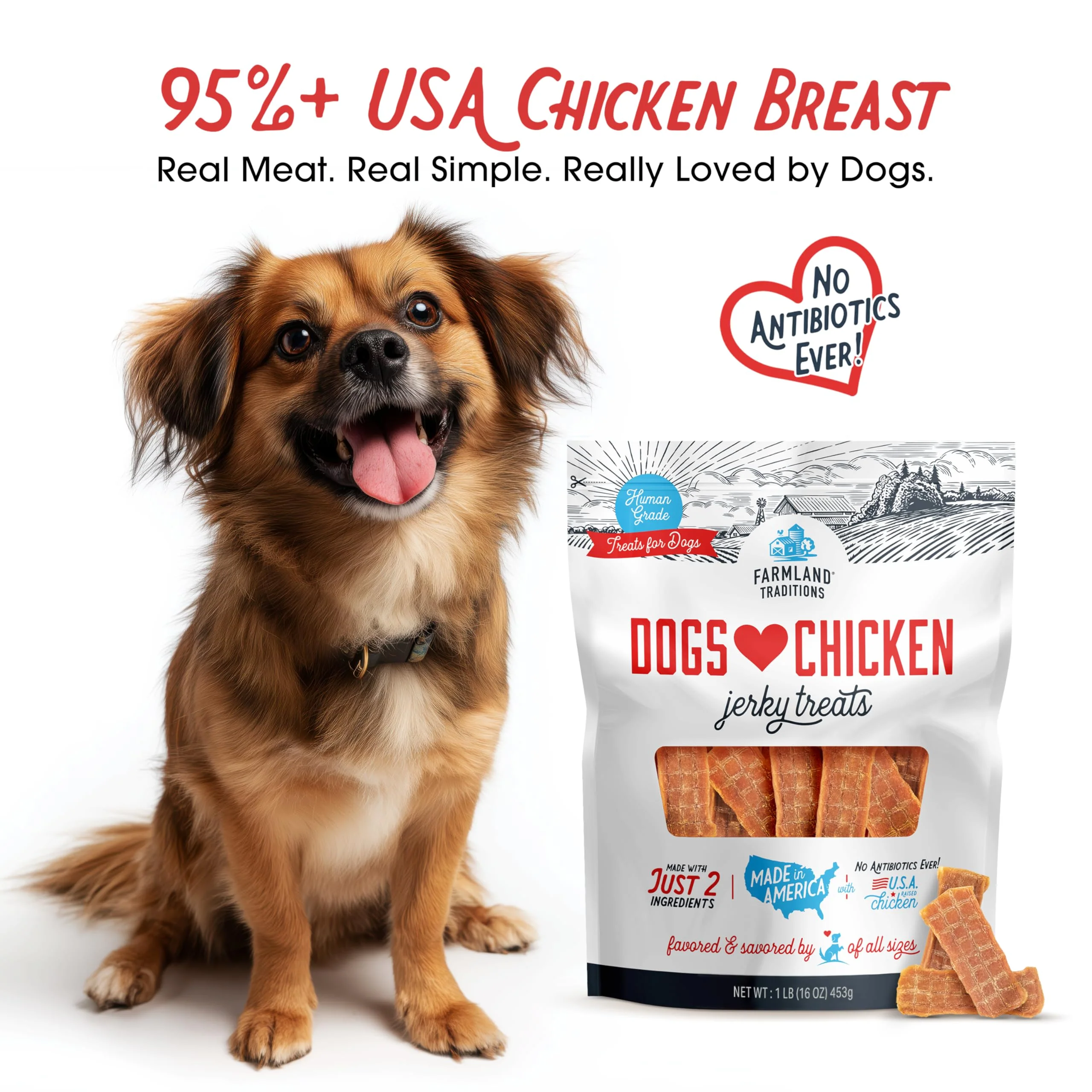 Farmland Traditions Dogs Love Chicken Jerky Dog Treats, Premium Two-Ingredient Dog Jerky with USA-Raised, Human-Grade Chicken & No Antibiotics Ever, 1 Pound (Pack of 1) Bag - Image 8