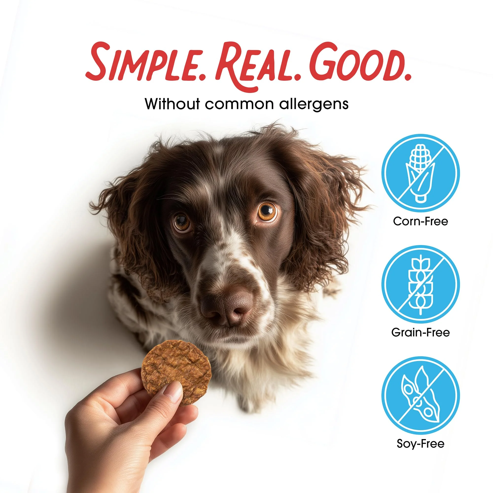 Farmland Traditions Filler Free Dogs Love Turkey & Sweet Potato Premium Jerky Treats for Dogs, 1 lb. Bag - Image 6